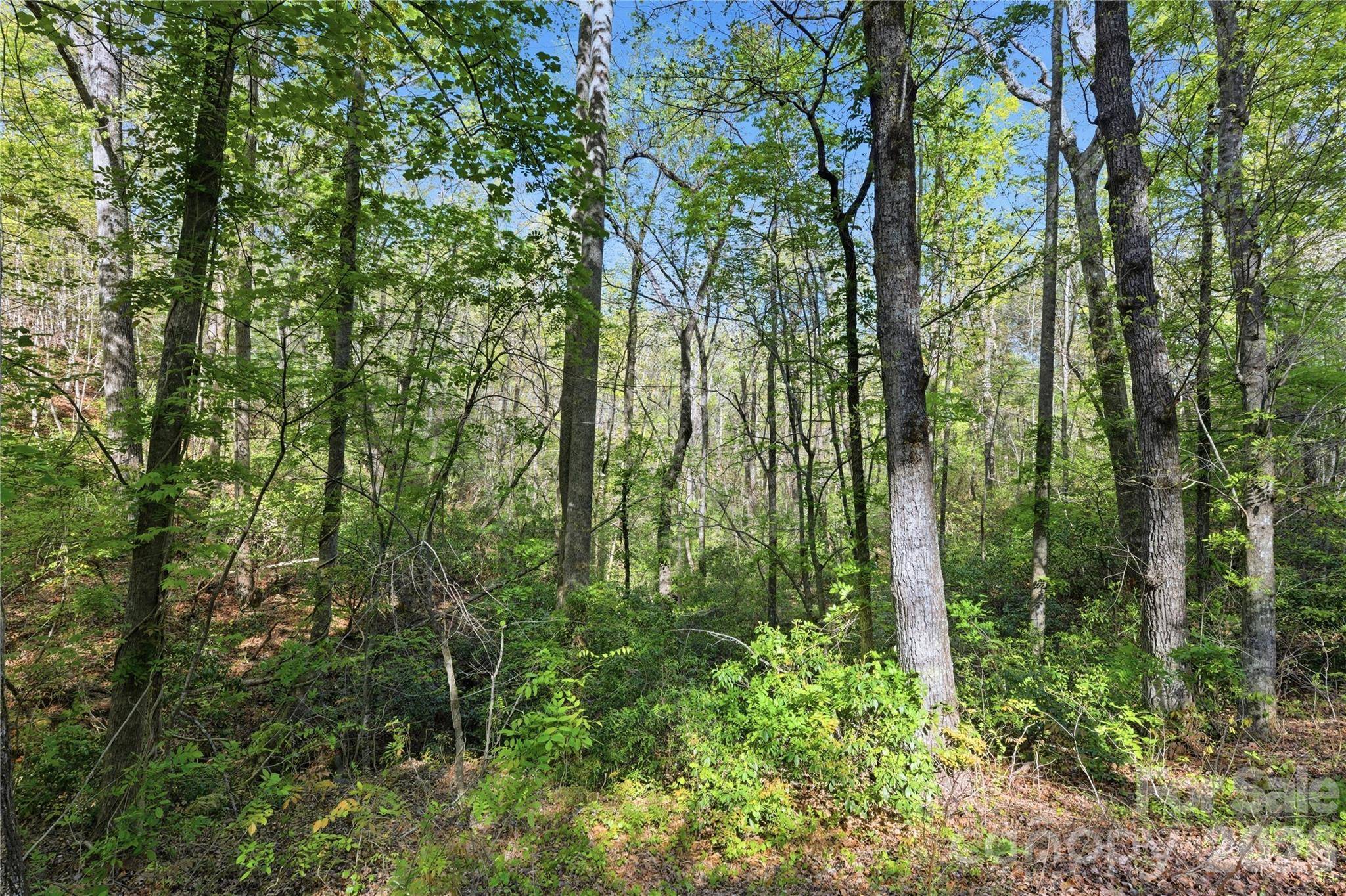 0 Wolf TRL #030, Lake Lure, NC 28746