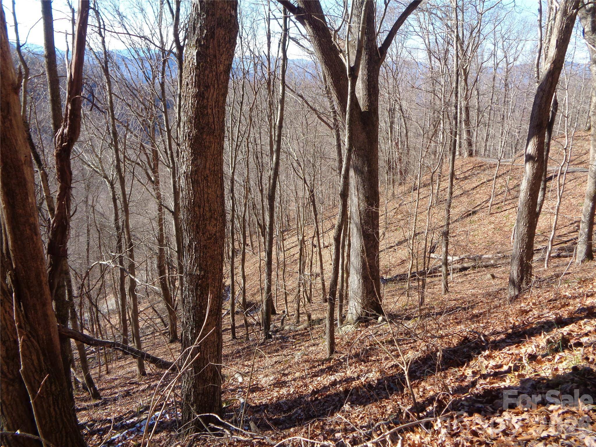 00 Listening CV #41, Clyde, NC 28721