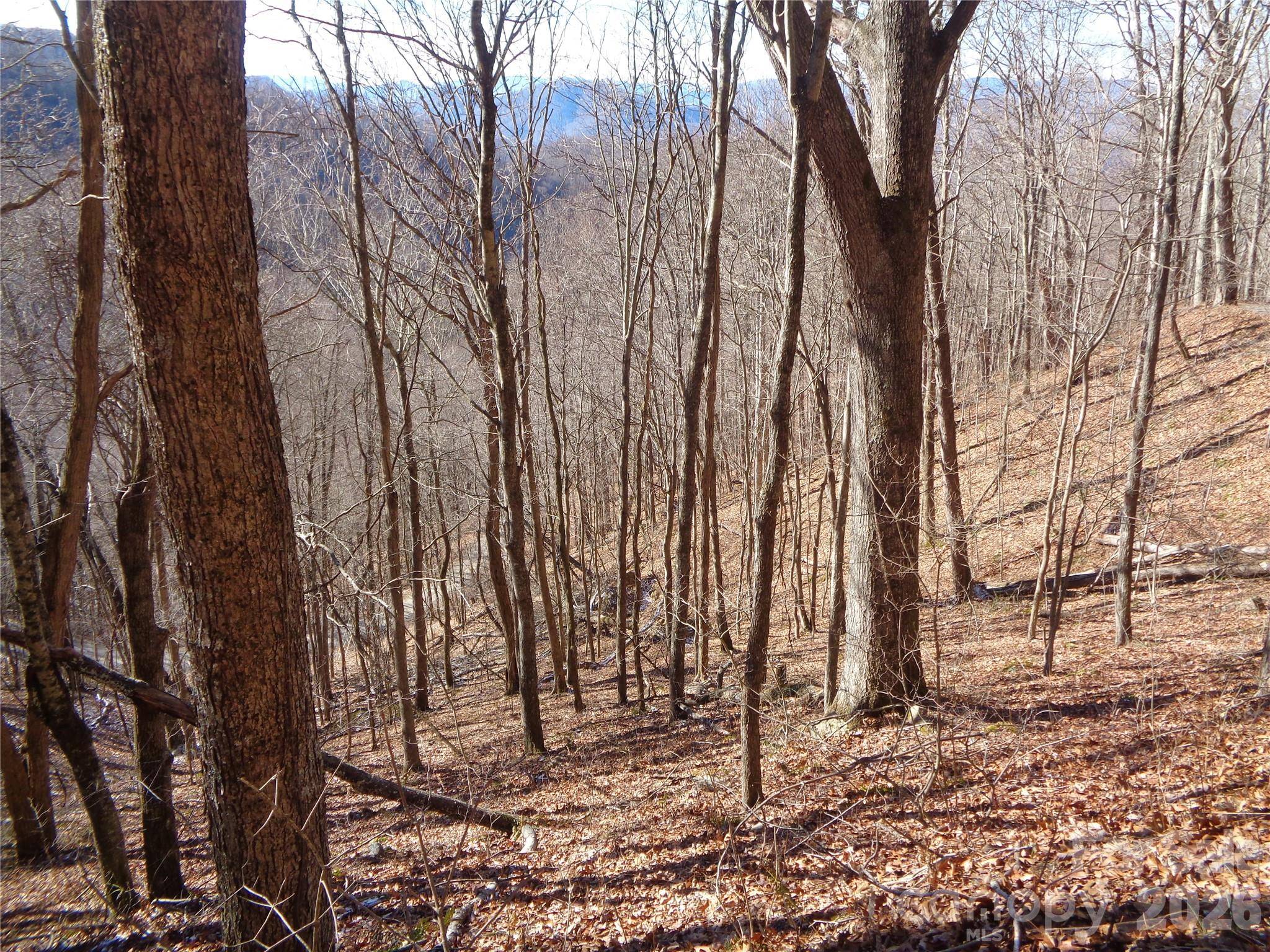 00 Listening CV #41, Clyde, NC 28721
