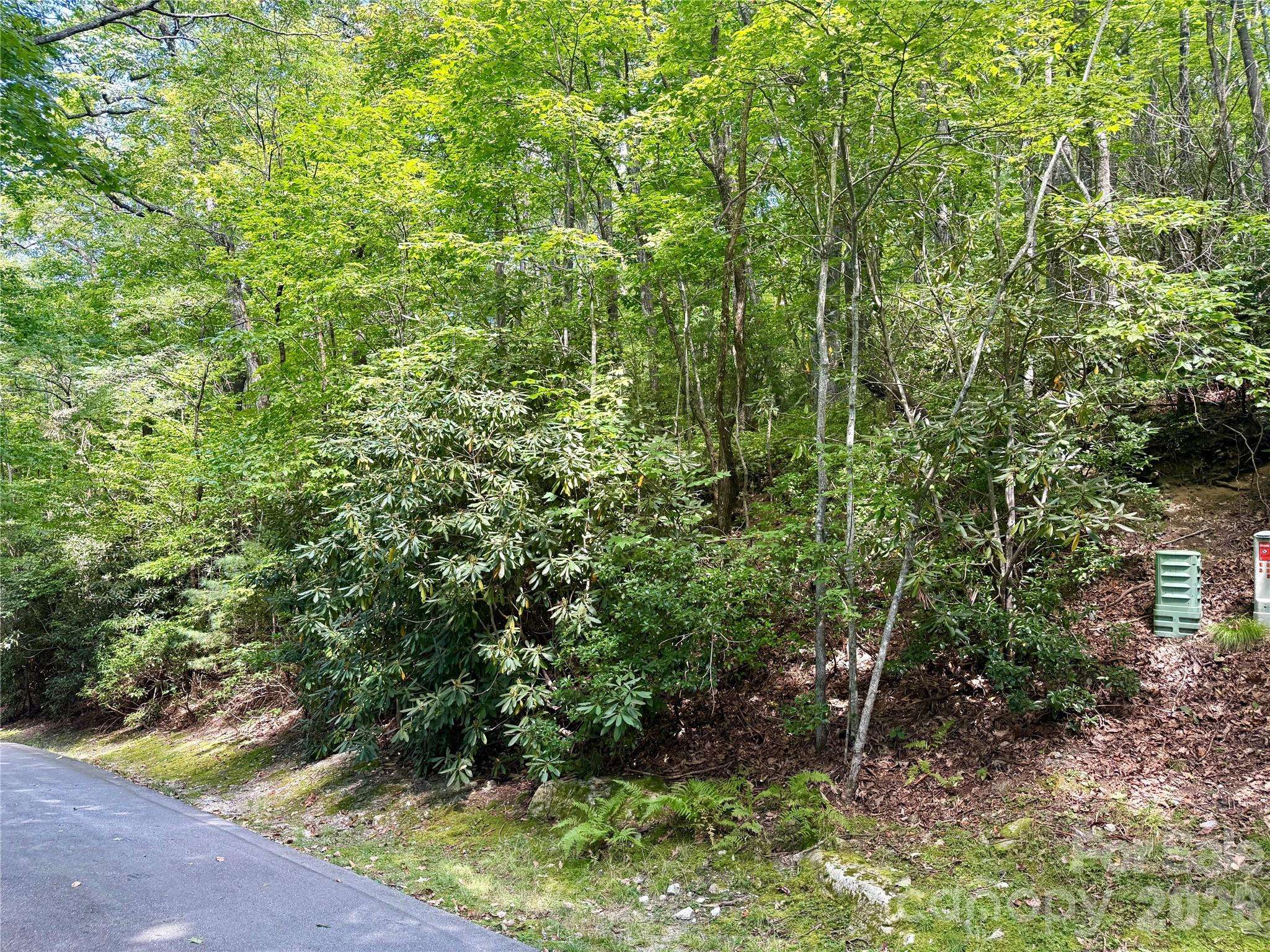 115 Black Oak DR, Sapphire, NC 28774