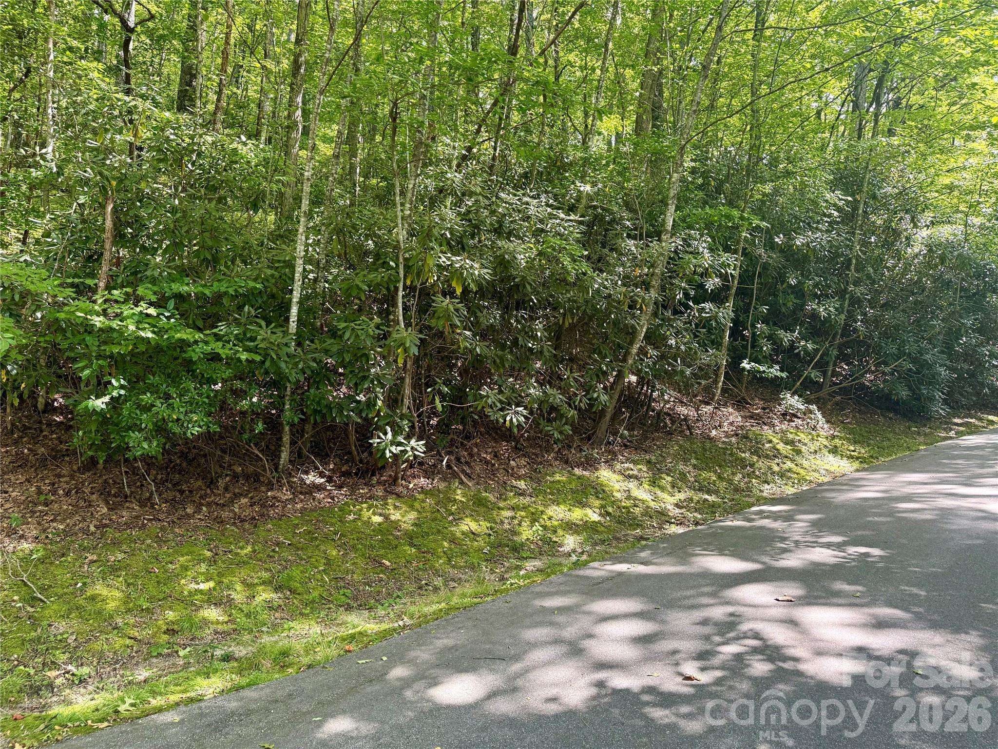 115 Black Oak DR, Sapphire, NC 28774