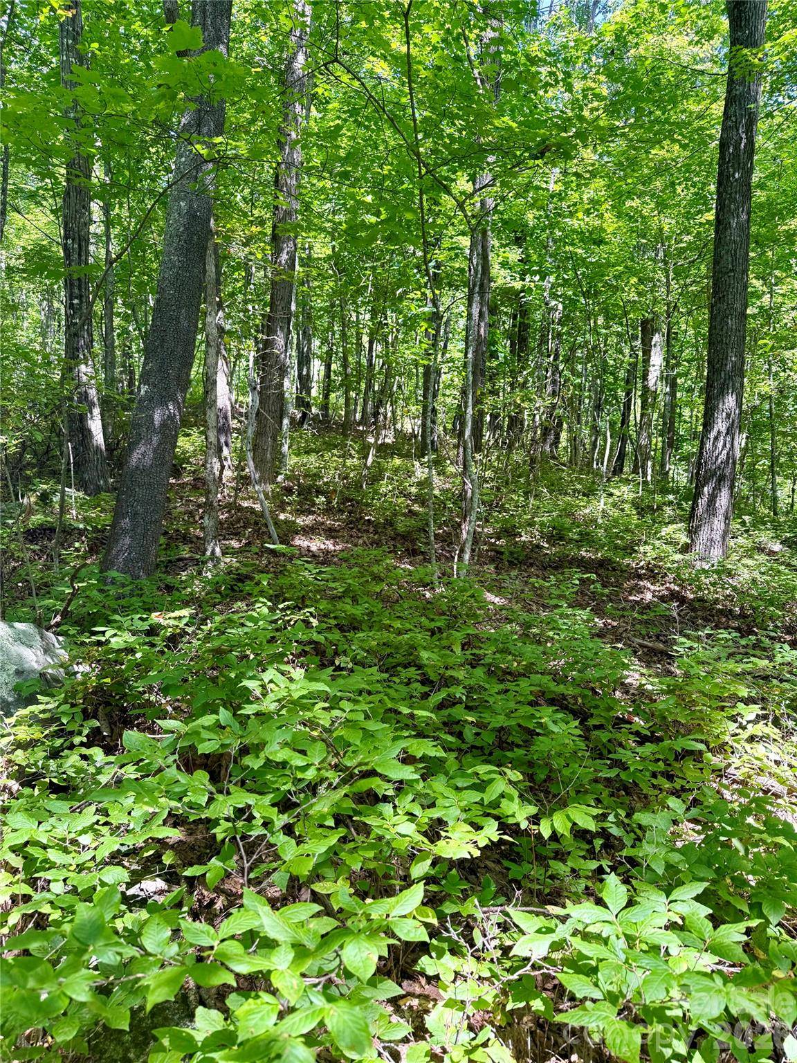 115 Black Oak DR, Sapphire, NC 28774