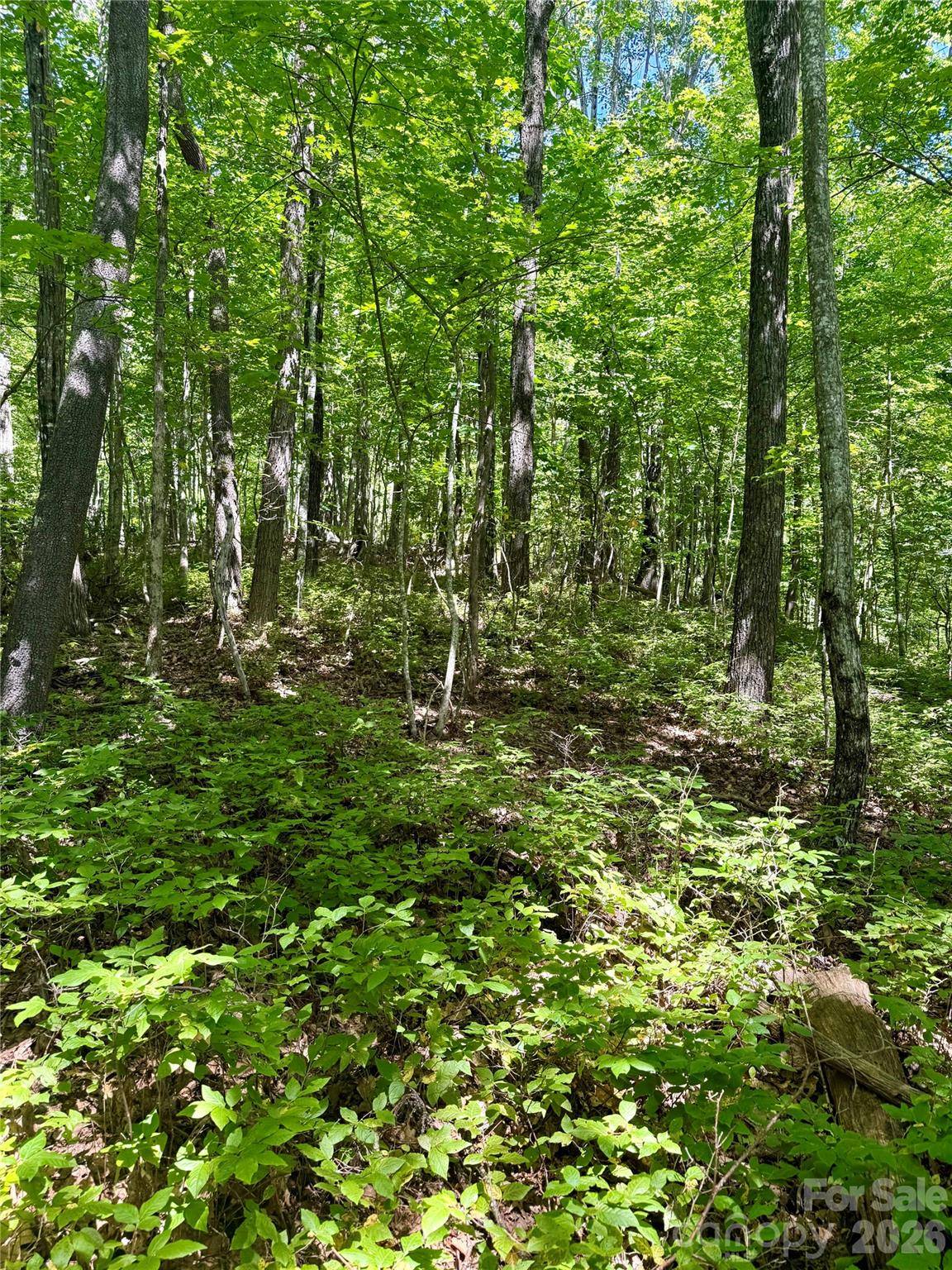 115 Black Oak DR, Sapphire, NC 28774