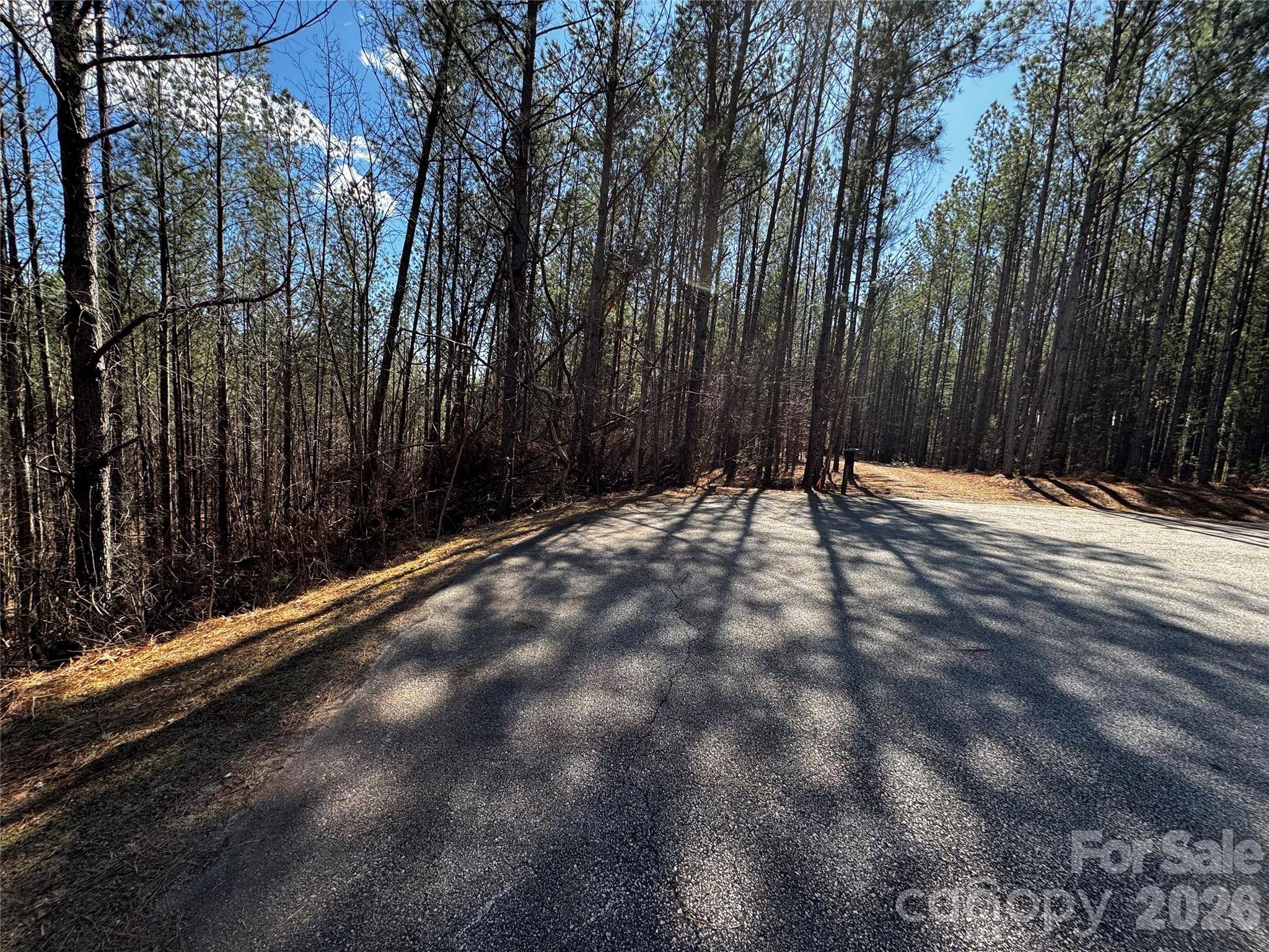 LT 5 Geebees WAY, Mill Spring, NC 28756