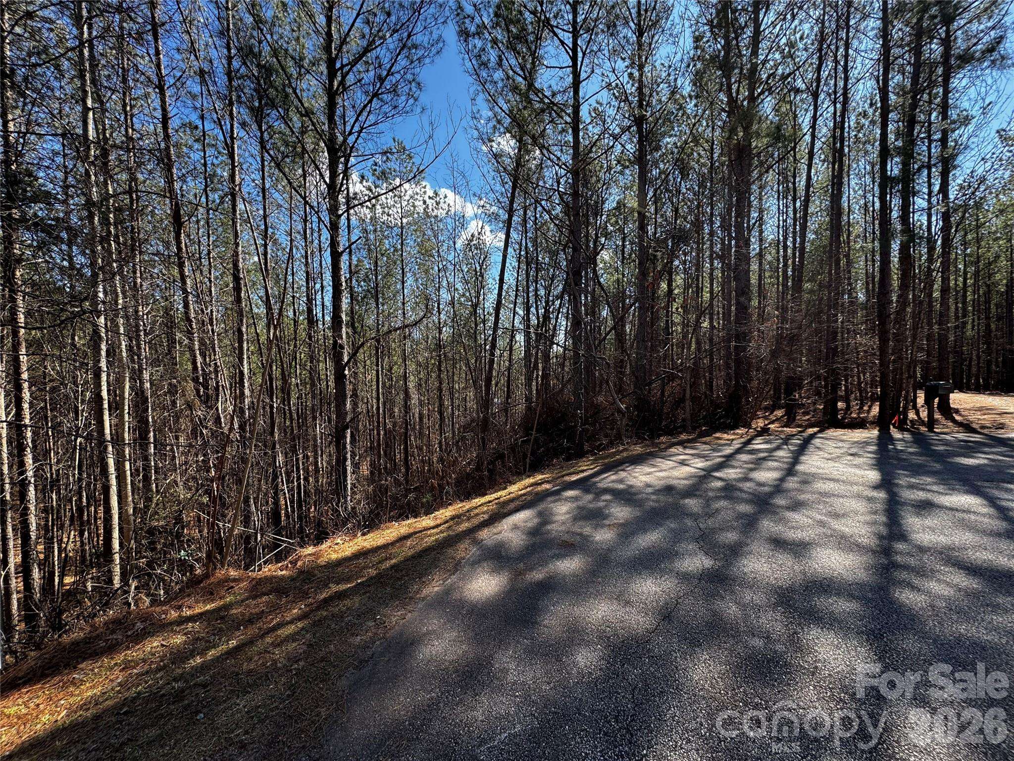 LT 5 Geebees WAY, Mill Spring, NC 28756