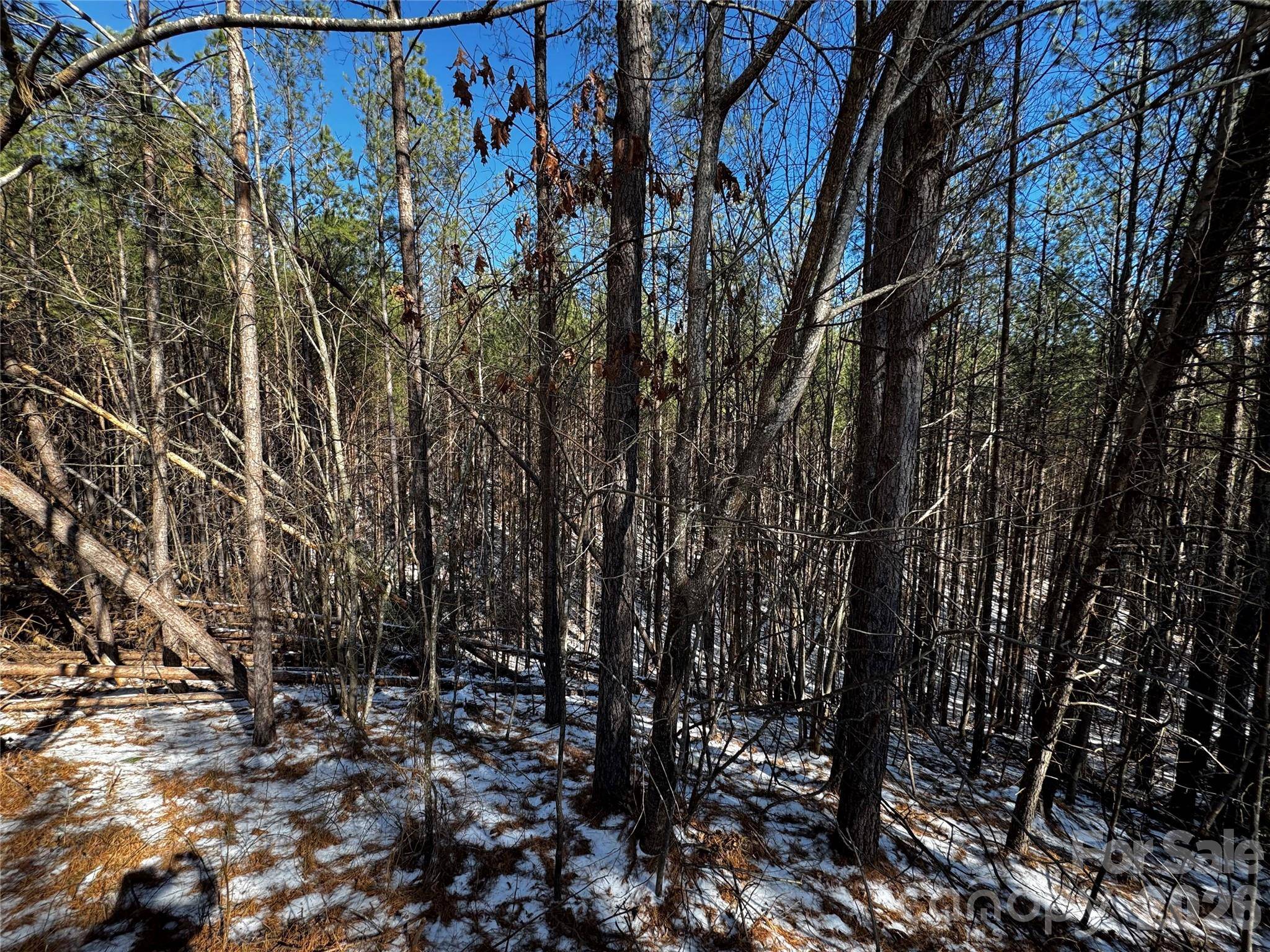 LT 5 Geebees WAY, Mill Spring, NC 28756