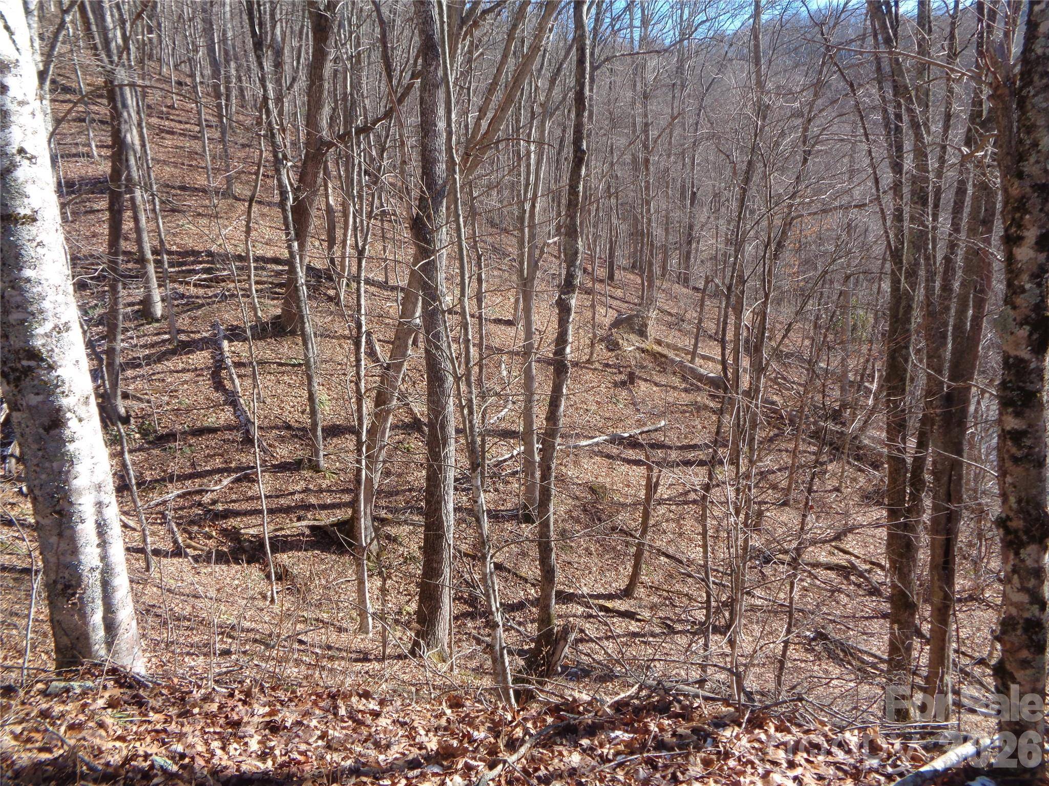 000 Listening CV #42, Clyde, NC 28721