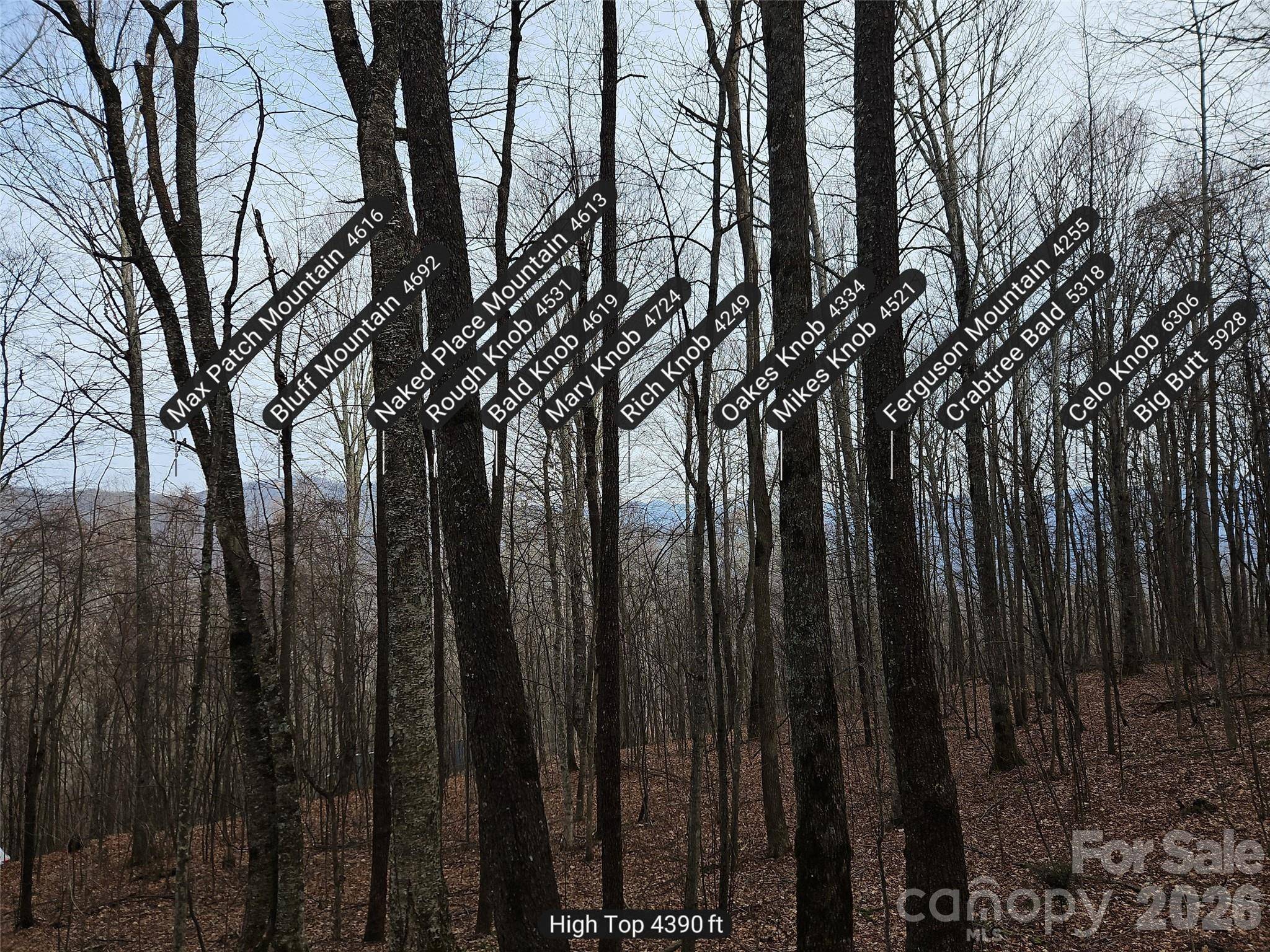 000 Slippery Rock LN, Waynesville, NC 28785