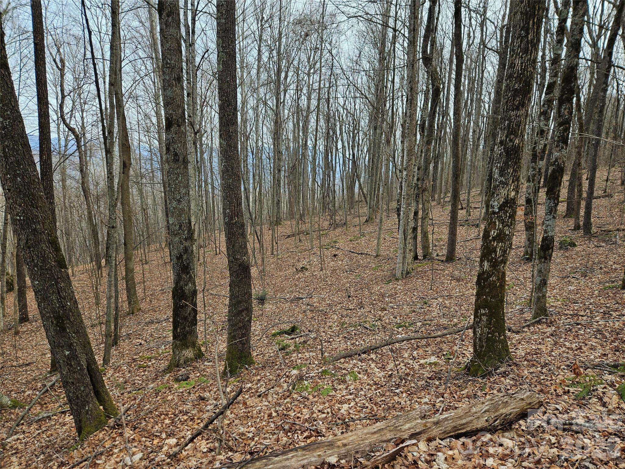 000 Slippery Rock LN, Waynesville, NC 28785