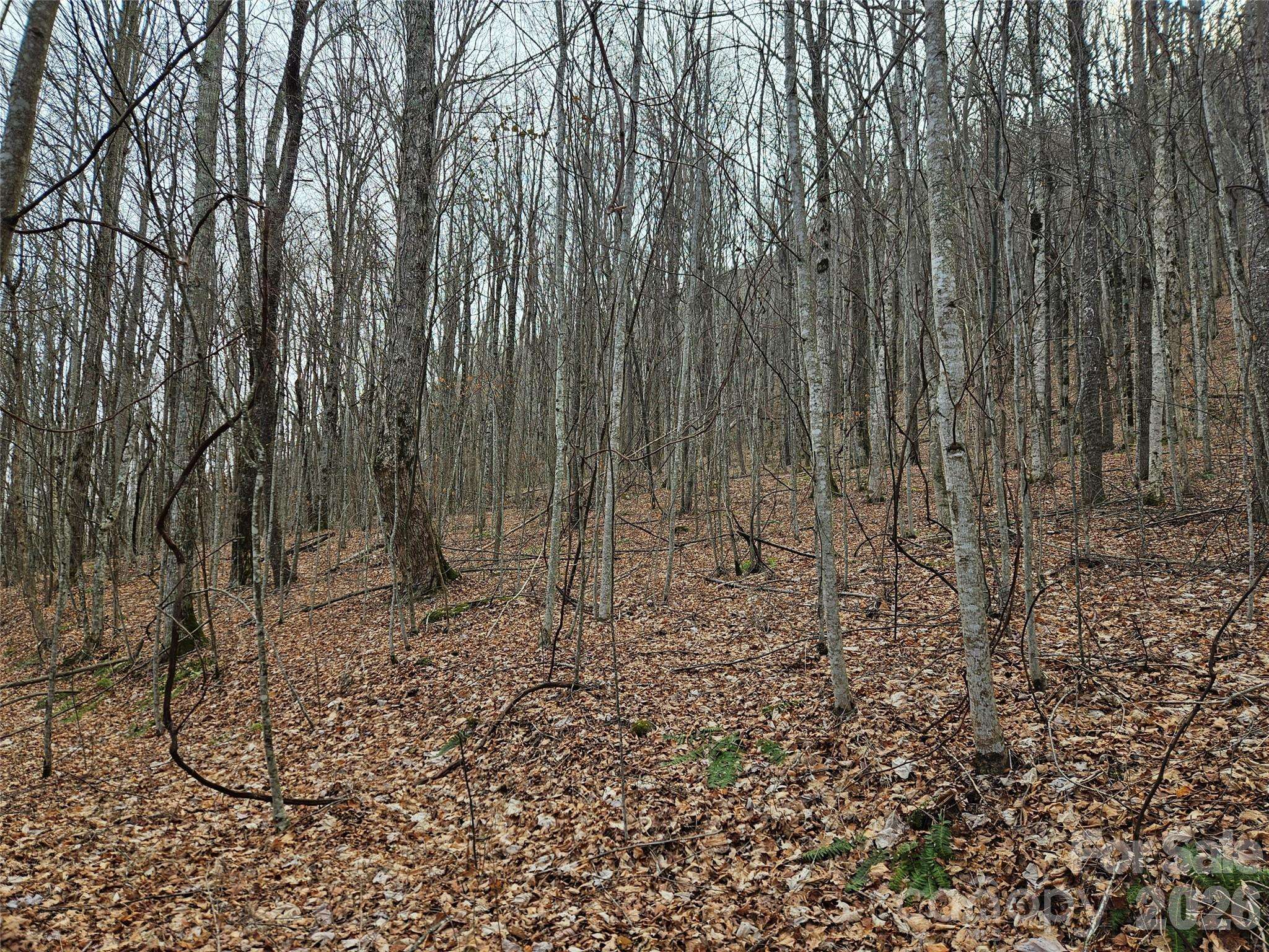 000 Slippery Rock LN, Waynesville, NC 28785