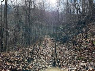 19 Blairstone LN, Maggie Valley, NC 28751