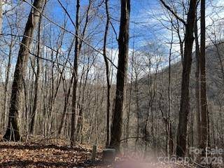 19 Blairstone LN, Maggie Valley, NC 28751