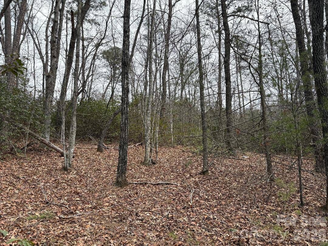 Lot 106 Ravenswood DR, Marion, NC 28752