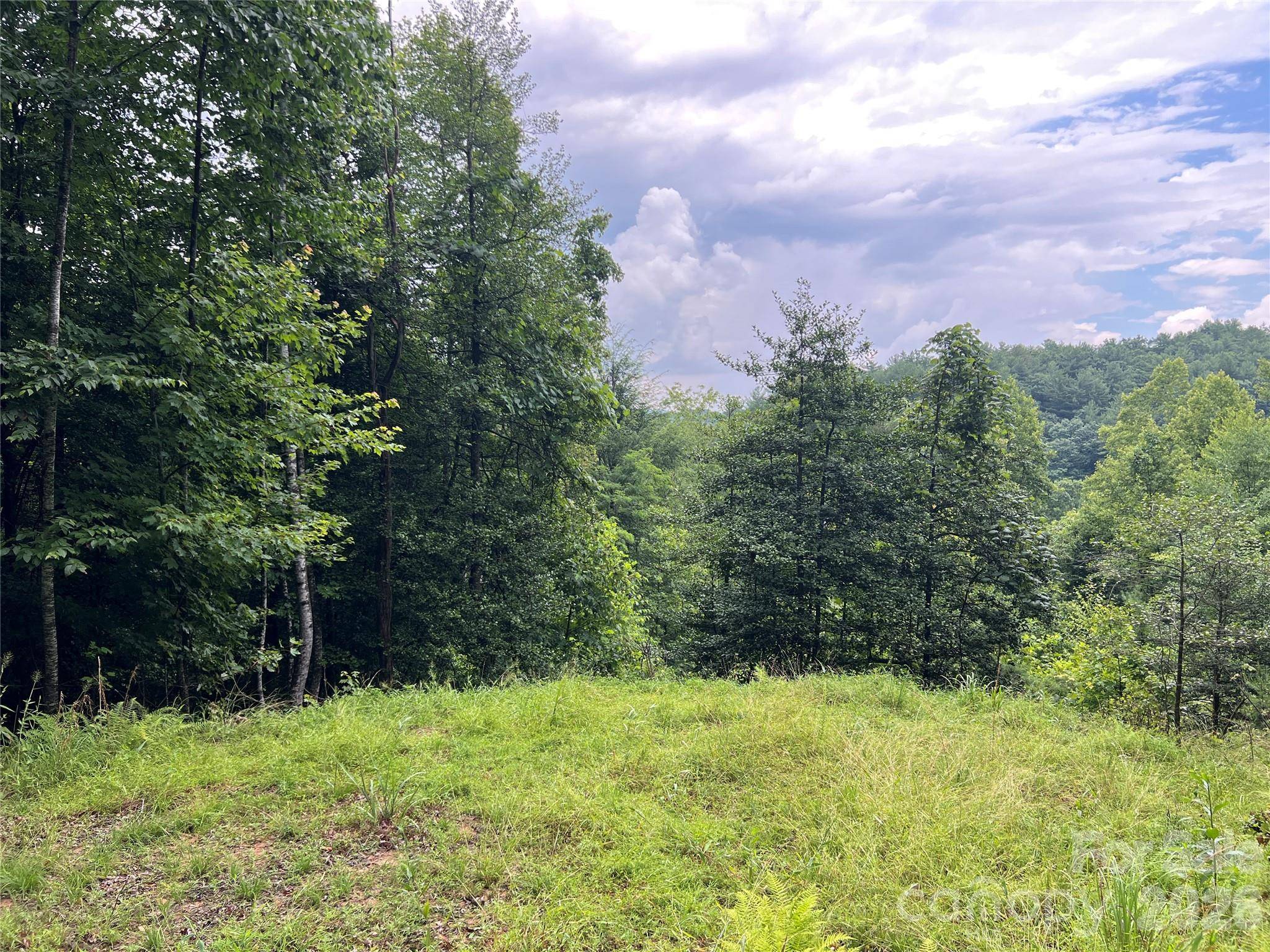 TBD Staghorn RD, Purlear, NC 28665
