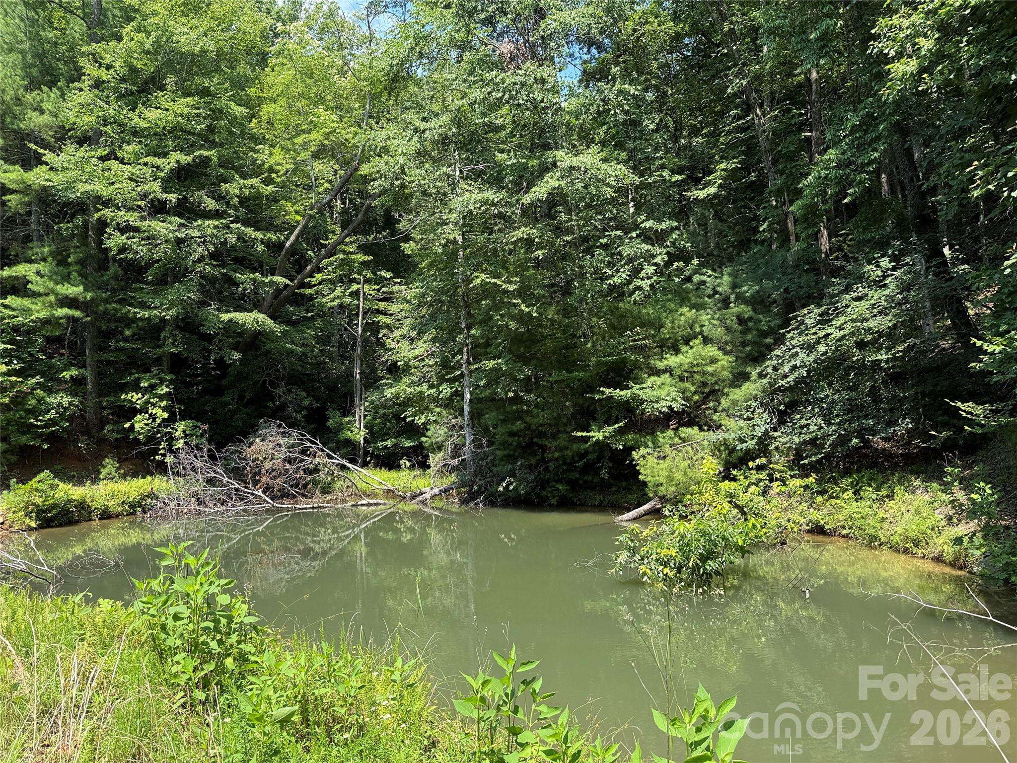 TBD Staghorn RD, Purlear, NC 28665