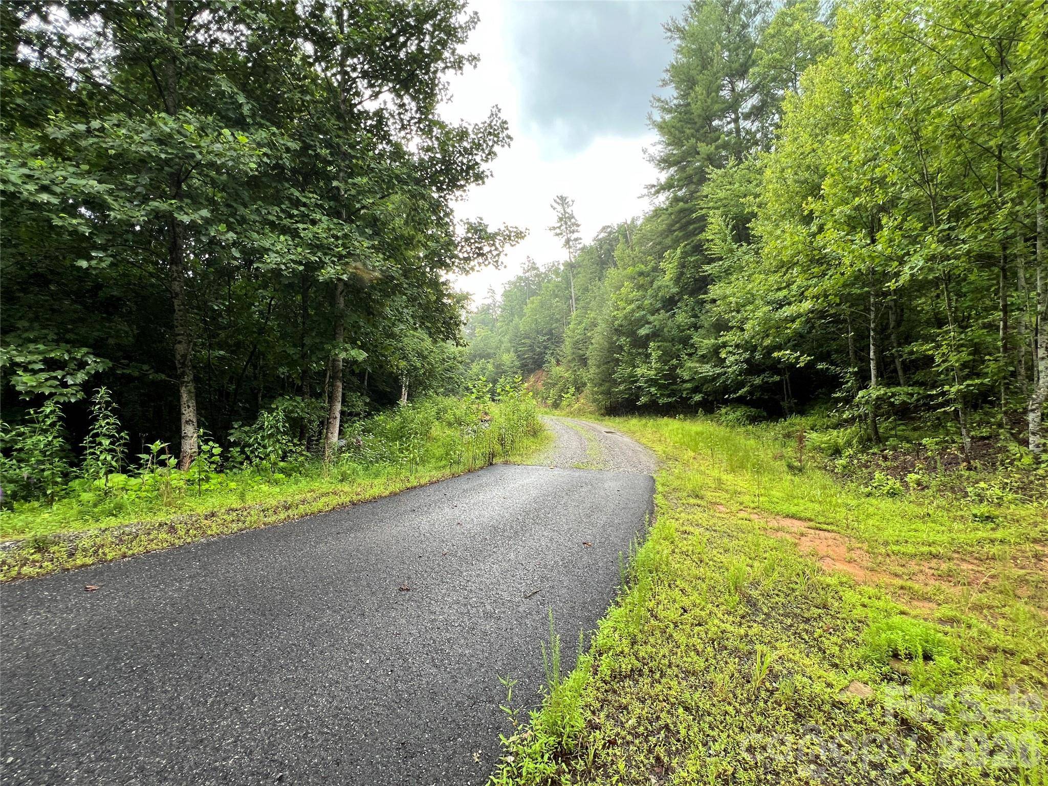 TBD Staghorn RD, Purlear, NC 28665
