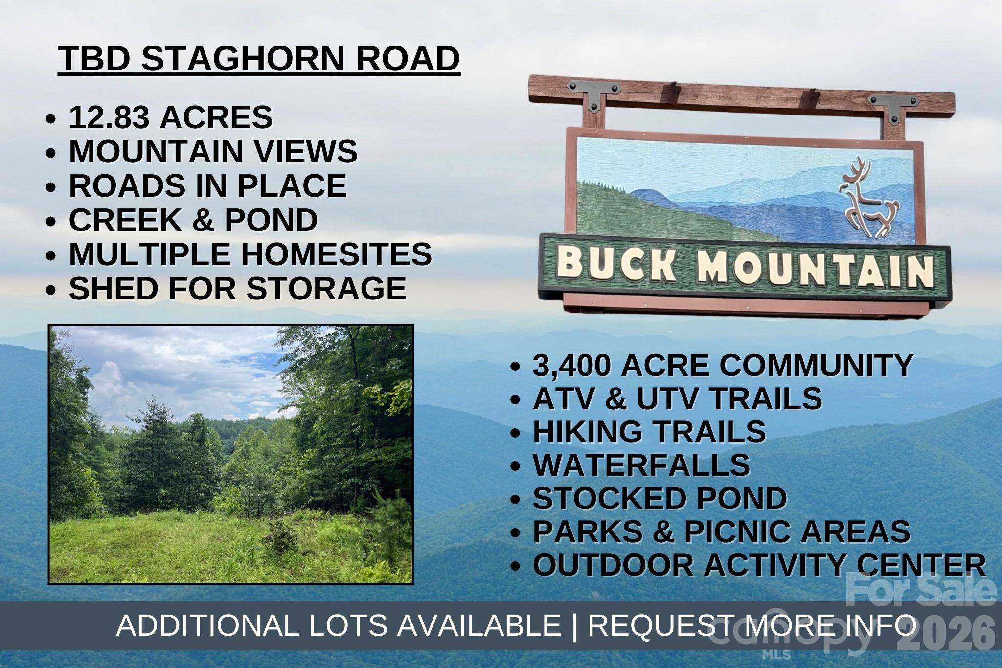 TBD Staghorn RD, Purlear, NC 28665