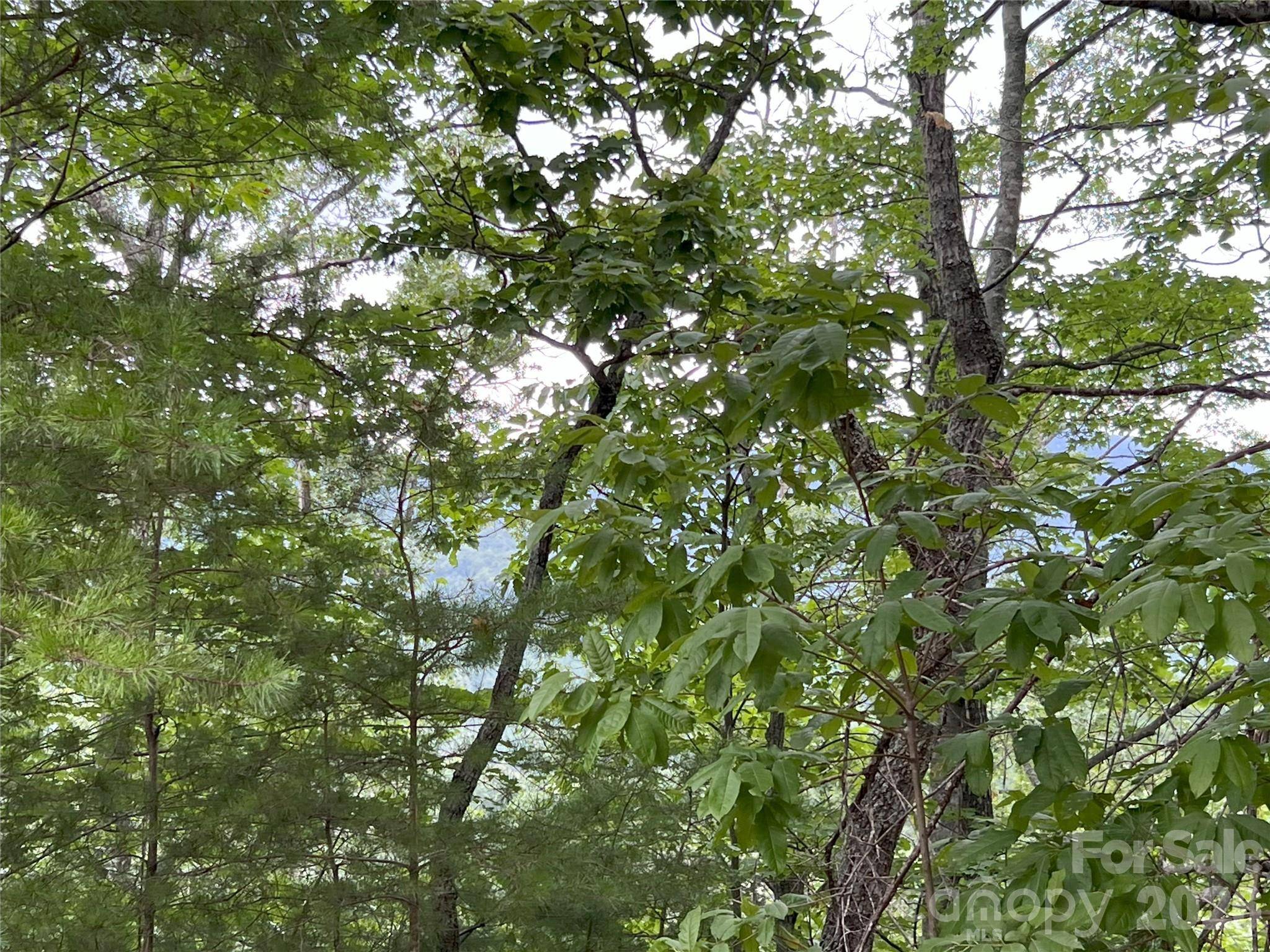 0 Stratford DR #19, Mill Spring, NC 28756