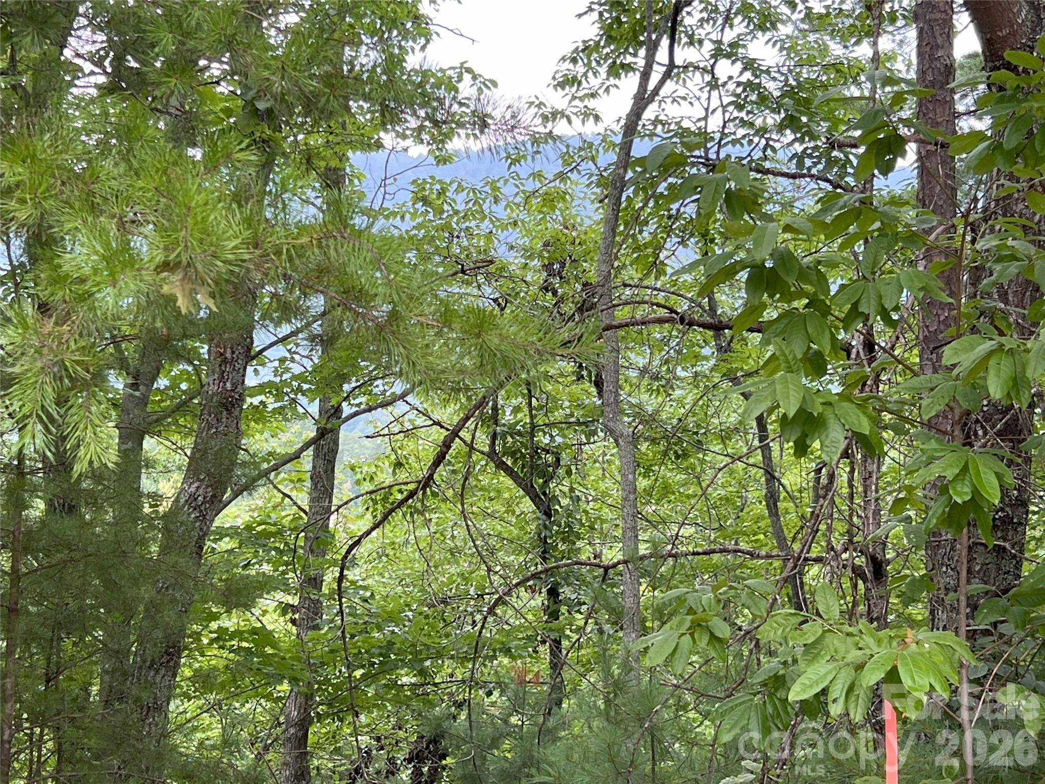 0 Stratford DR #19, Mill Spring, NC 28756