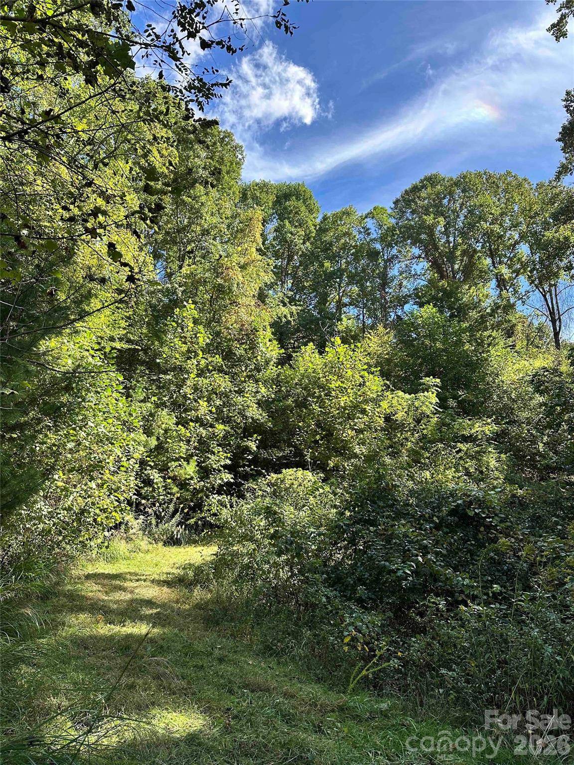 94 Locust Grove LN, Weaverville, NC 28787