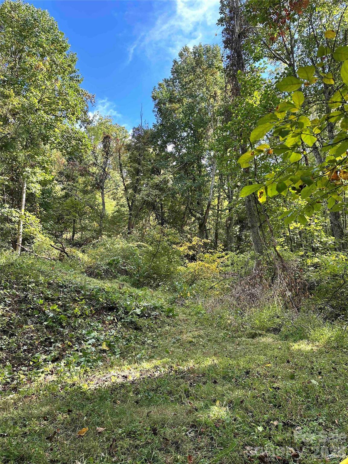 94 Locust Grove LN, Weaverville, NC 28787