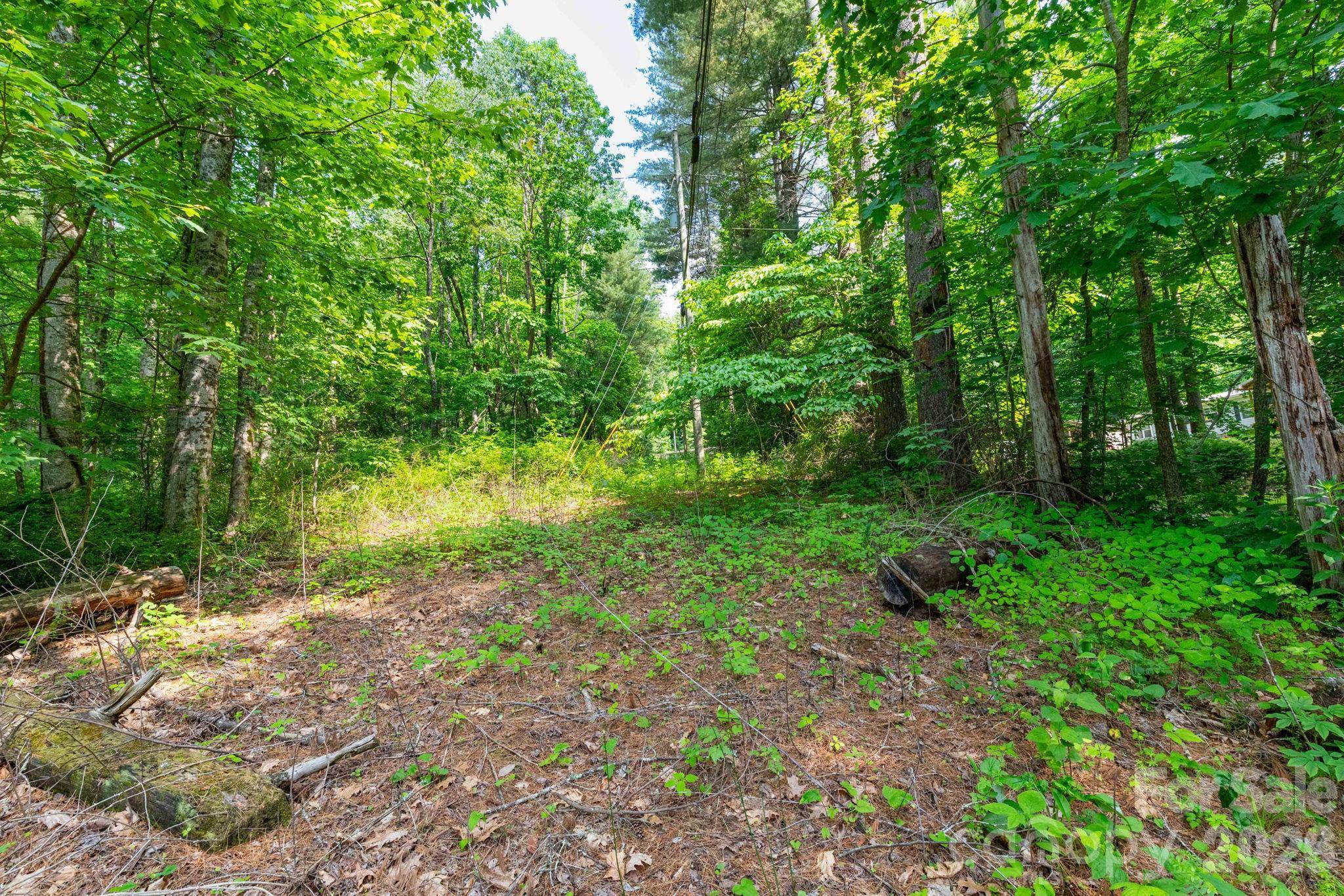 TBD Woodfin RD, Sylva, NC 28779