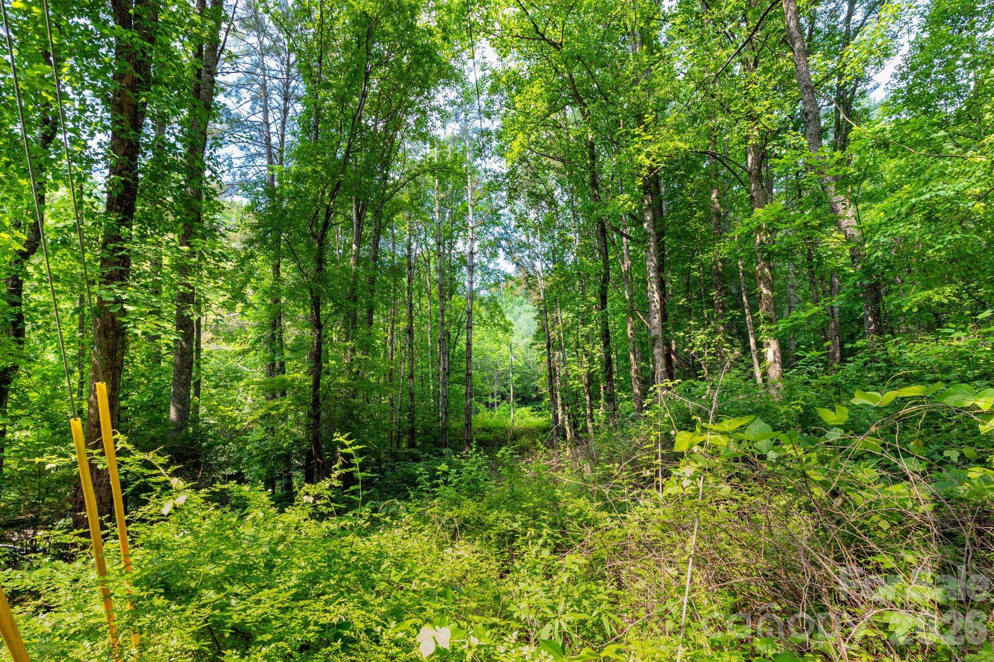 TBD Woodfin RD, Sylva, NC 28779