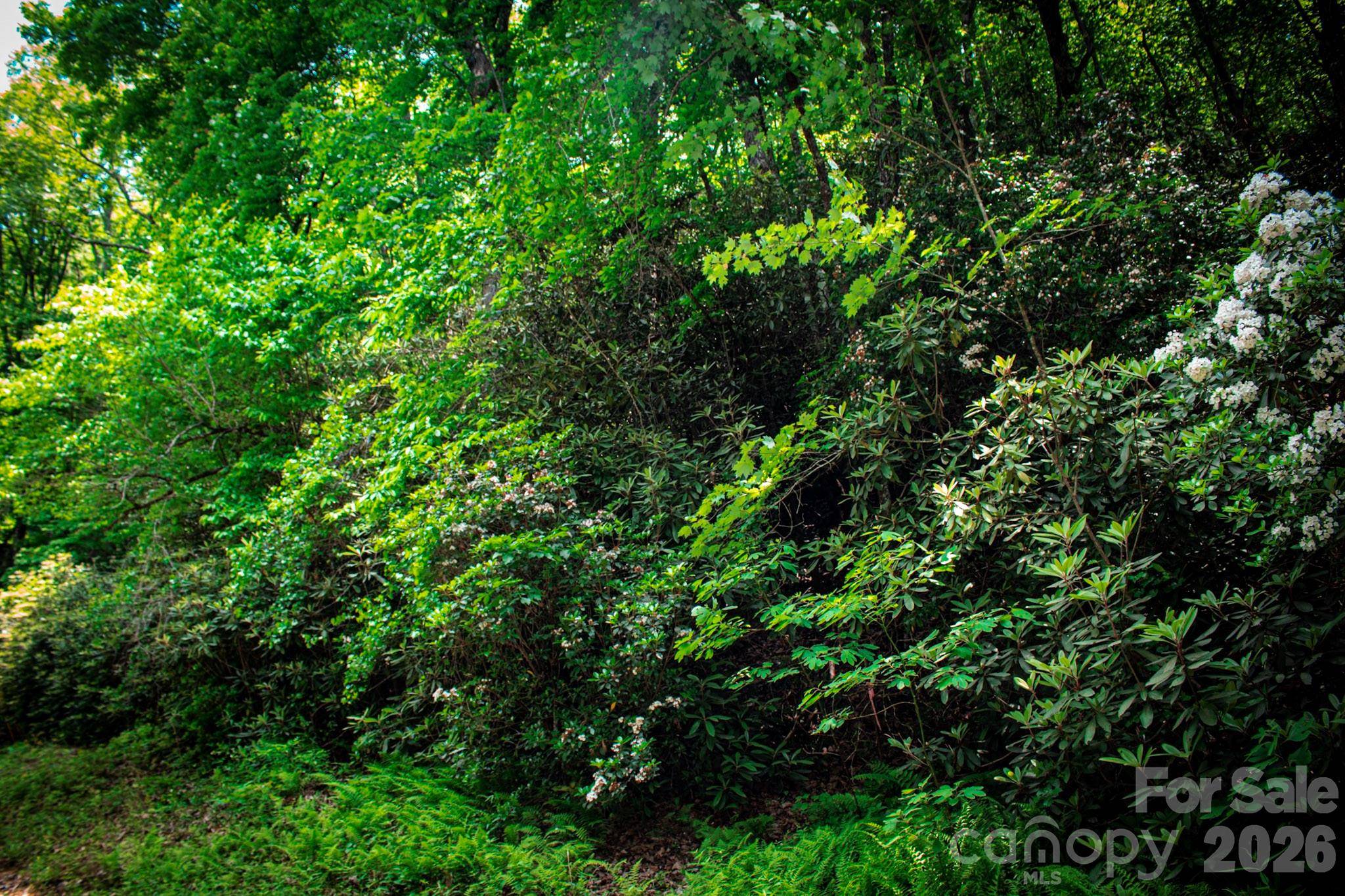 TBD Fox Den RD #57&59, Brevard, NC 28712