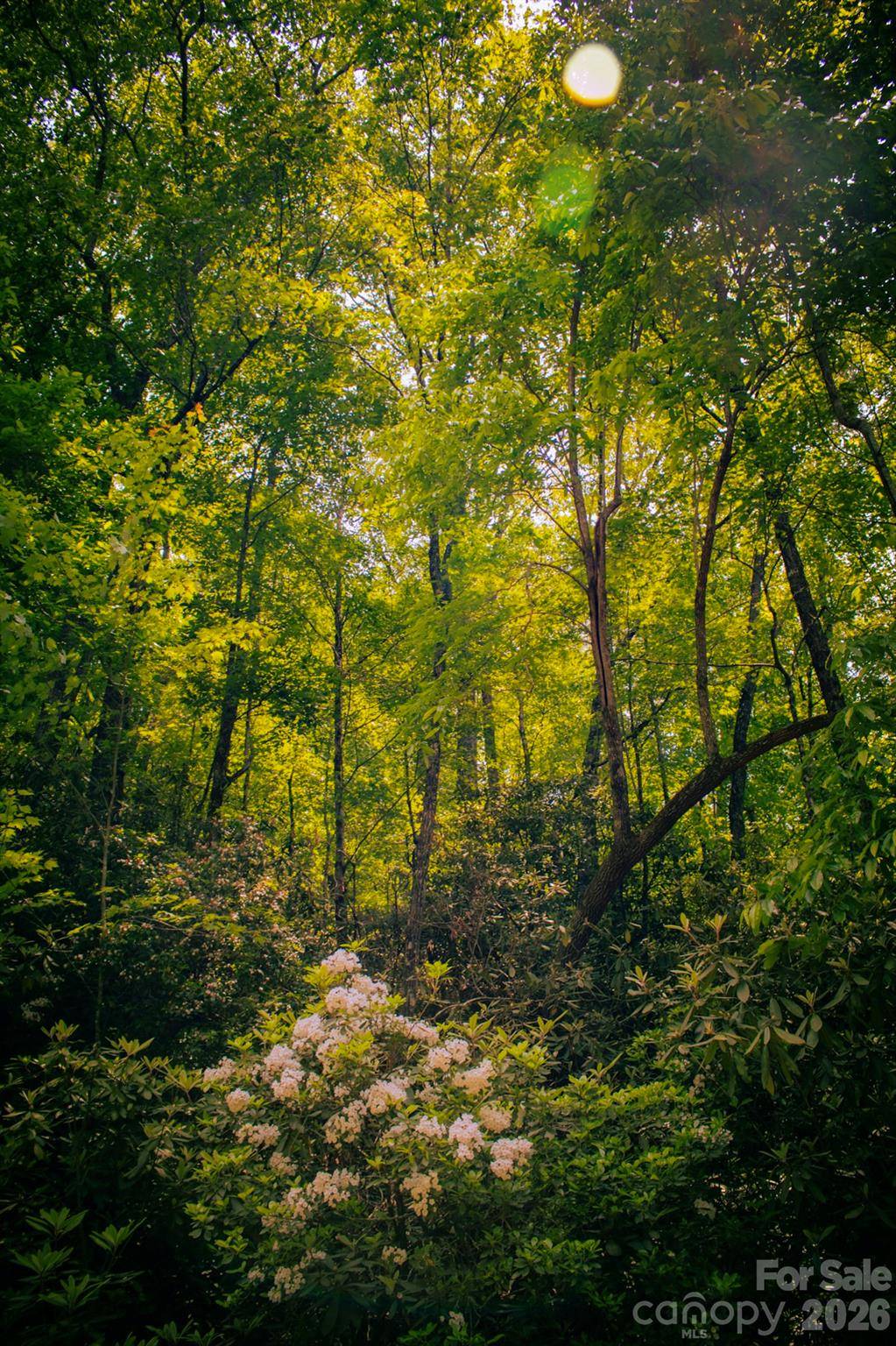 TBD Fox Den RD #57&59, Brevard, NC 28712