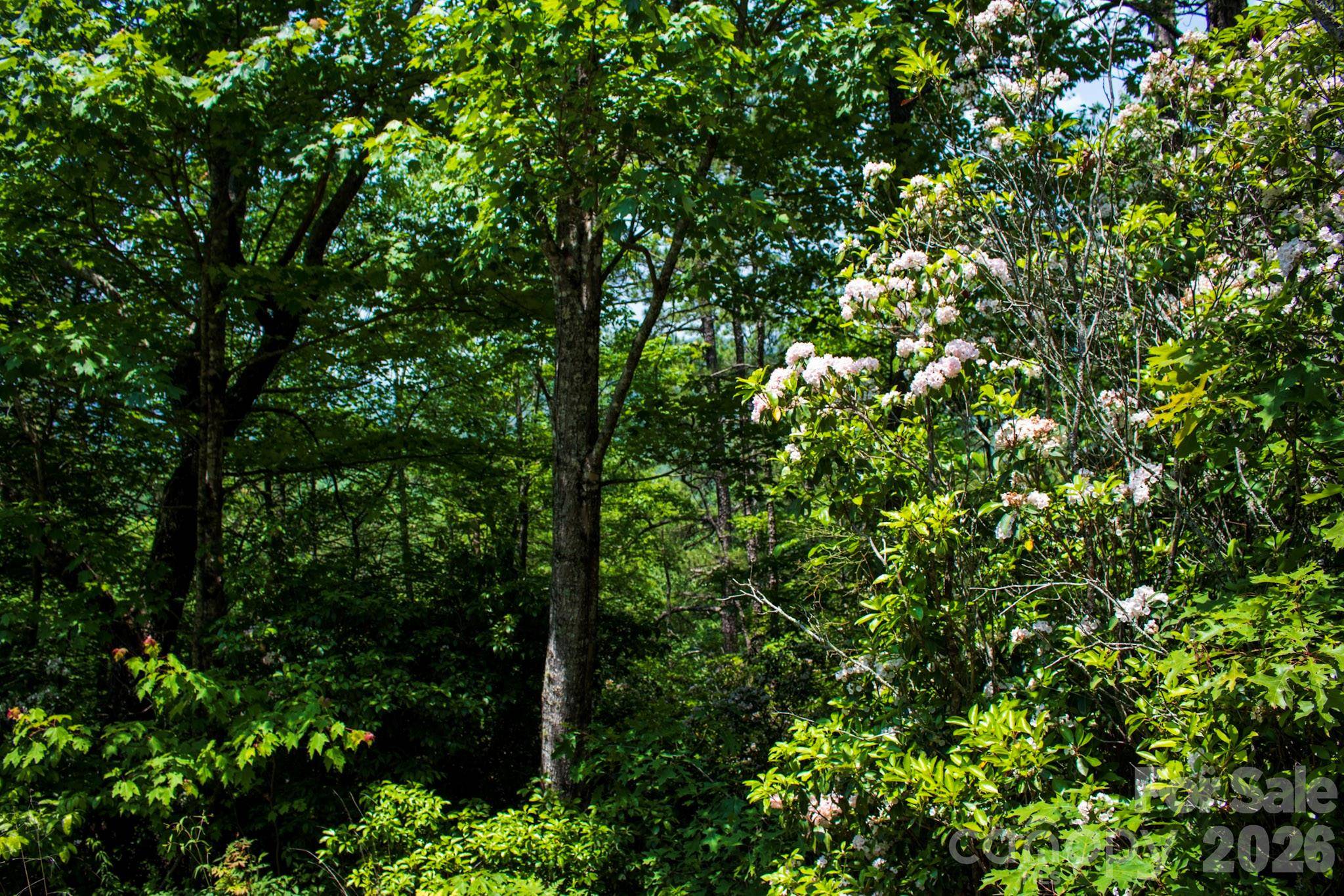 TBD Fox Den RD #57&59, Brevard, NC 28712