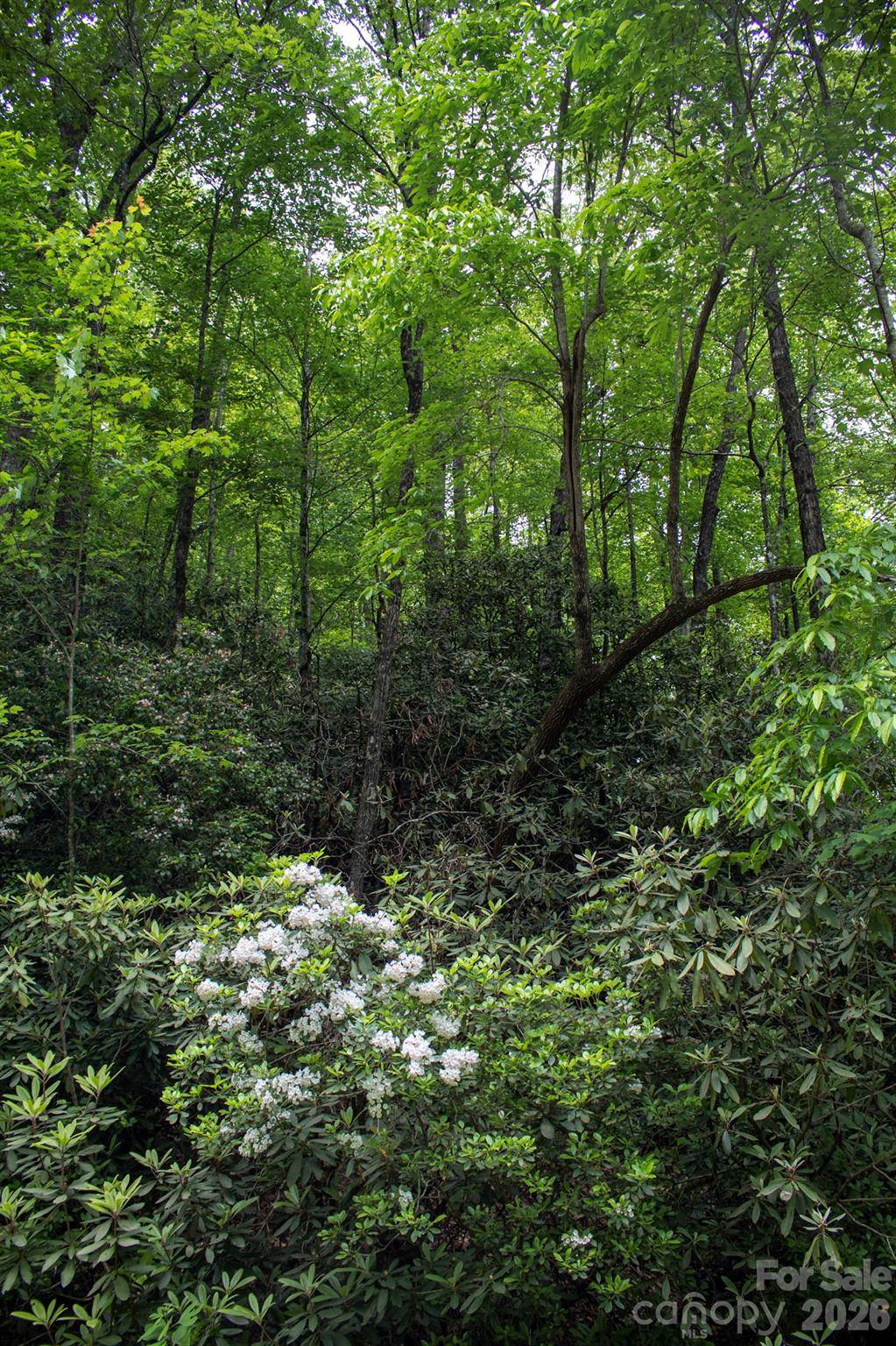 TBD Fox Den RD #57&59, Brevard, NC 28712