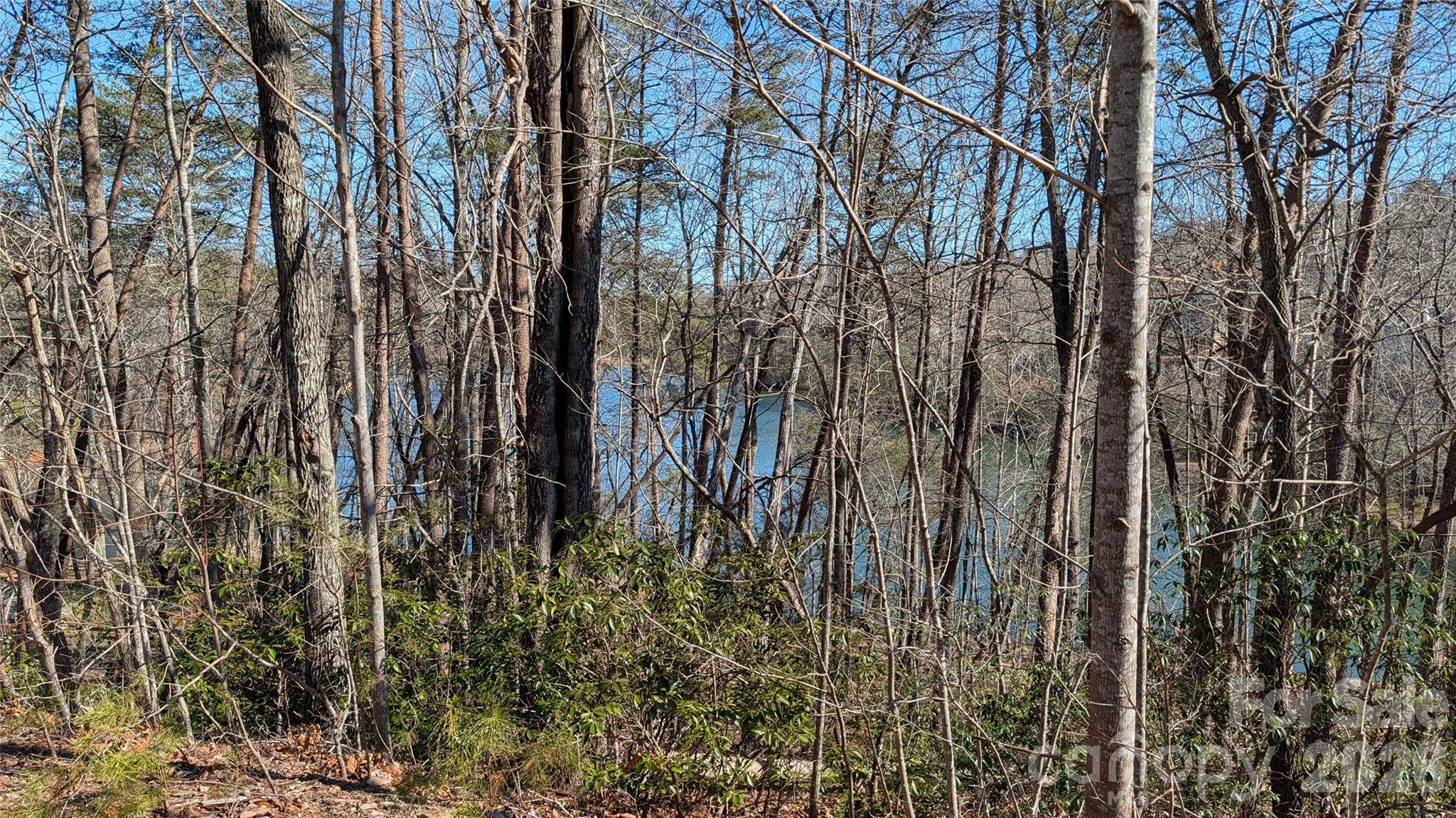 0 Lakewood DR, Lake Lure, NC 28746
