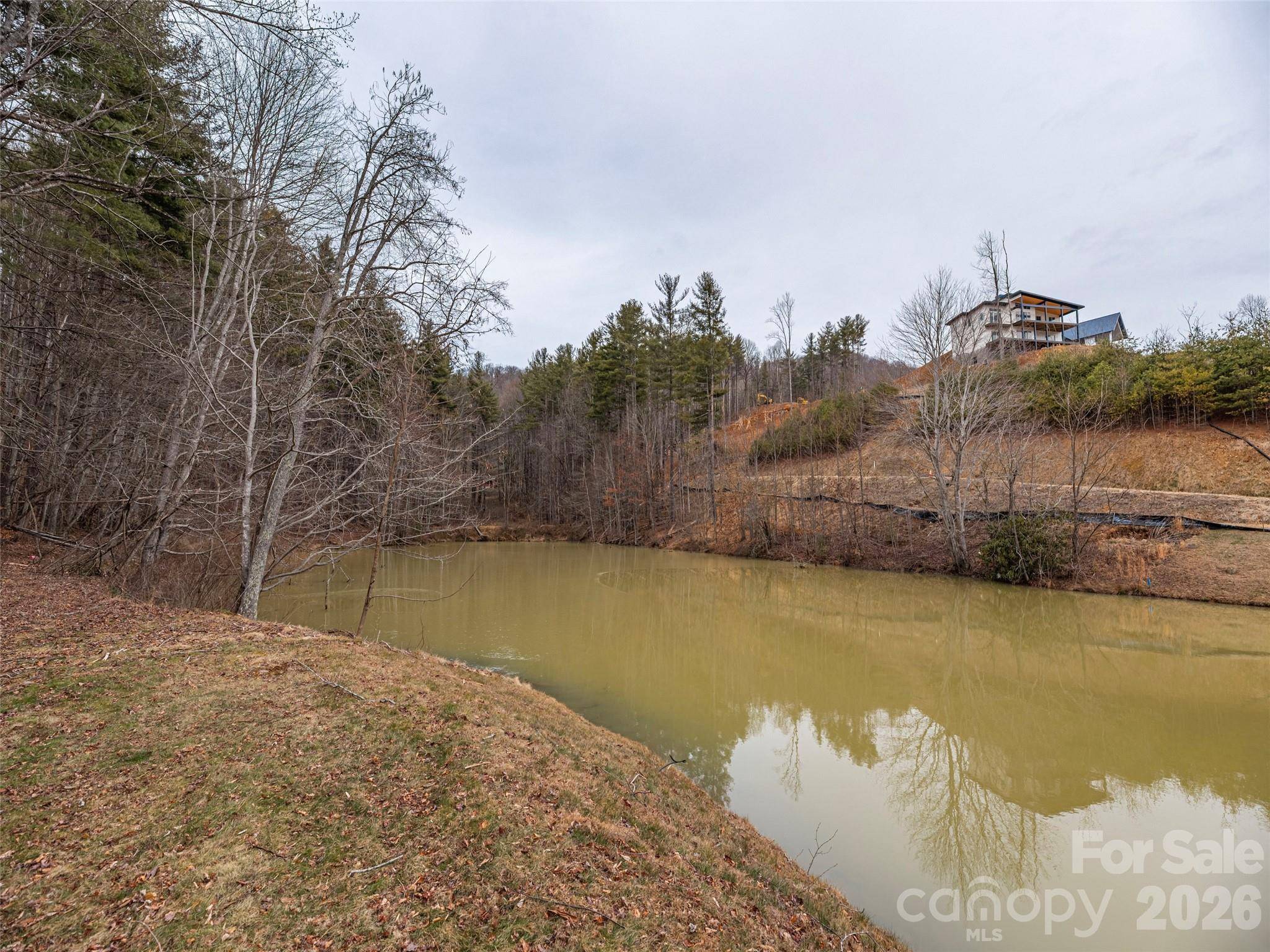 9 Freshwater CV, Maggie Valley, NC 28751