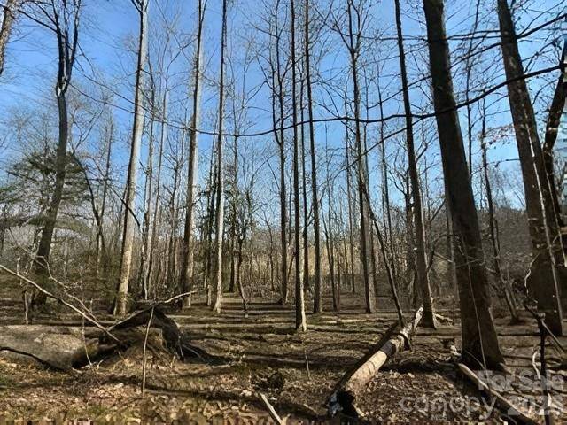 3825 Wood Glen DR #5, Morganton, NC 28655