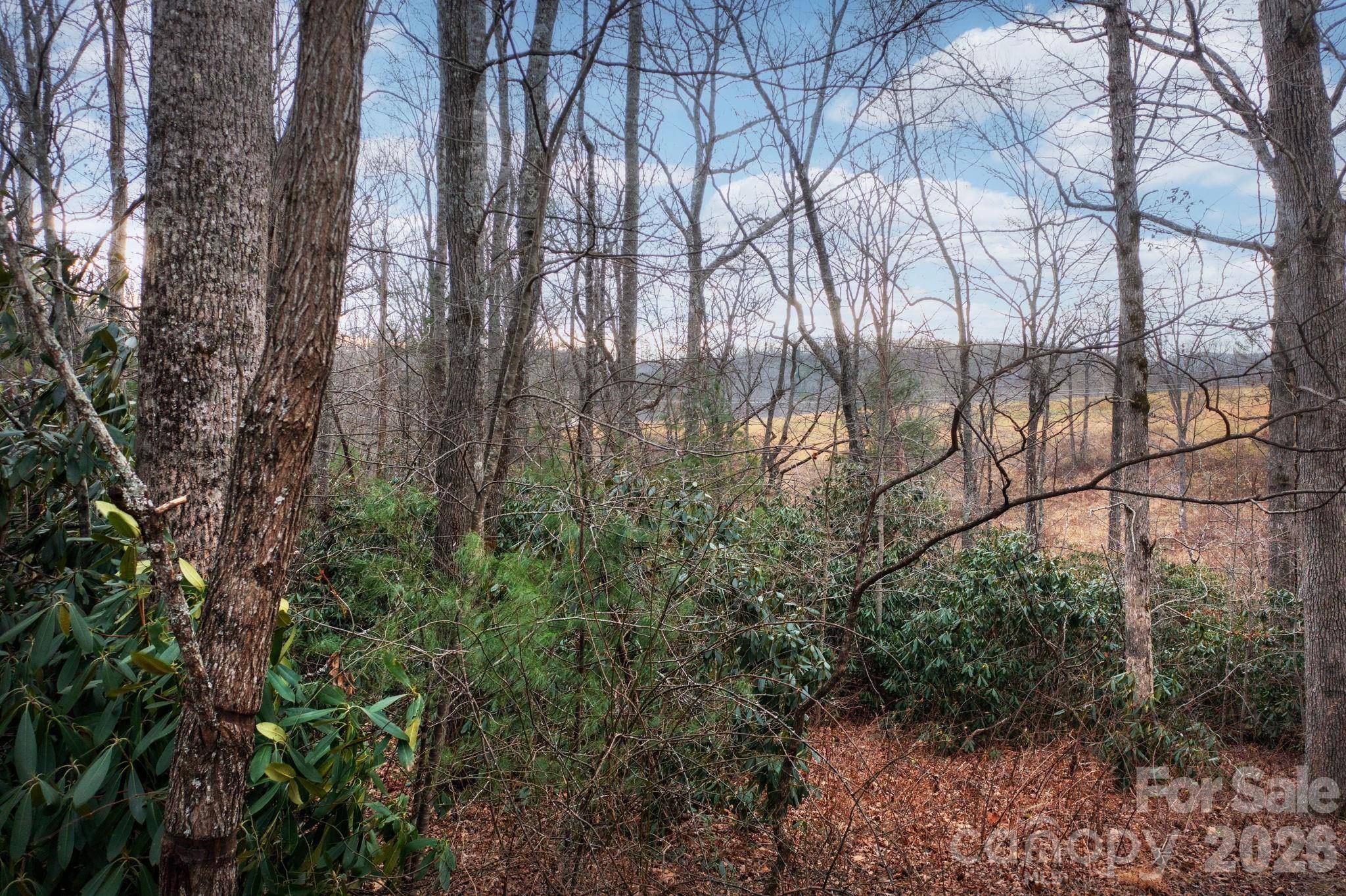 38 Gollum DR, Fairview, NC 28730