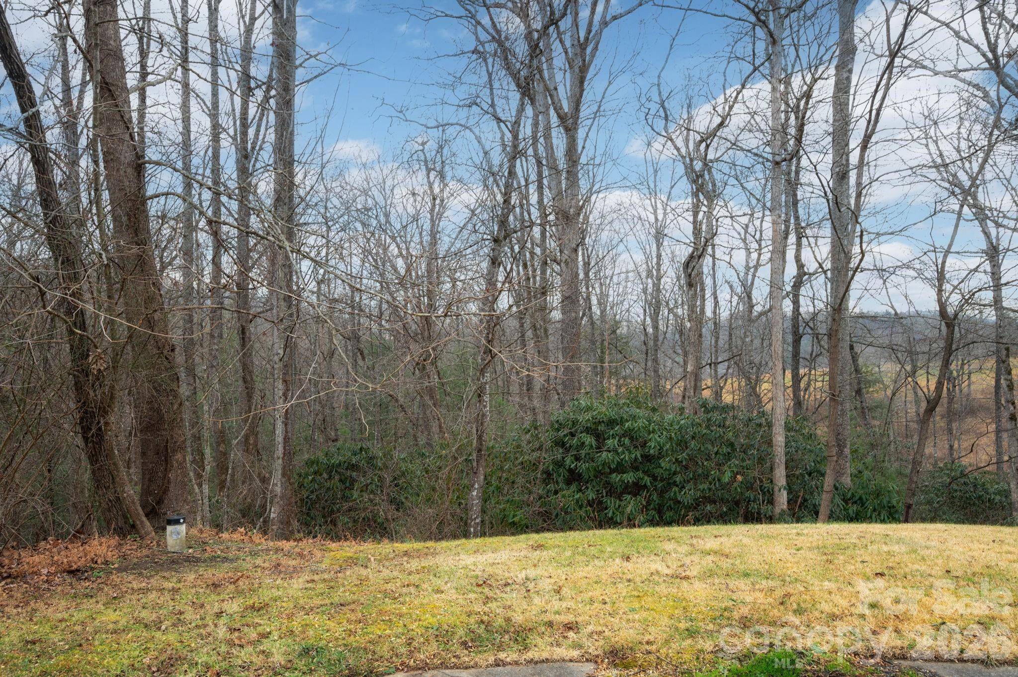 38 Gollum DR, Fairview, NC 28730