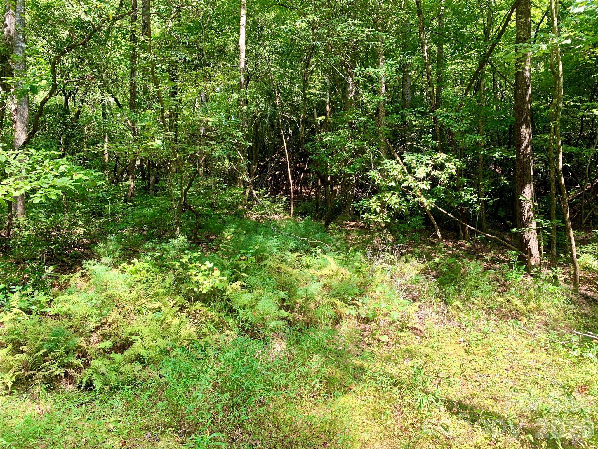 6 Double Creek RD #6, Brevard, NC 28712