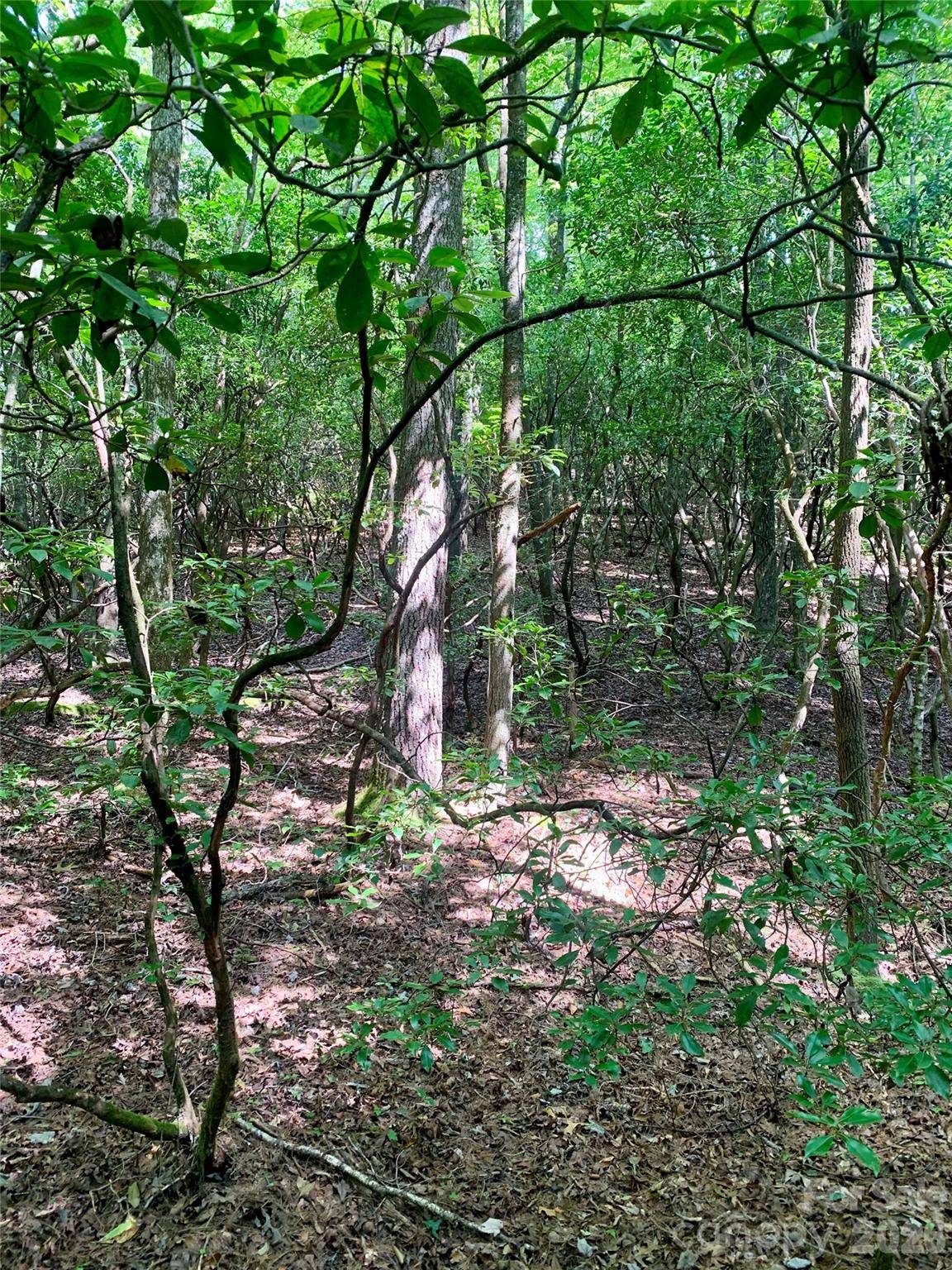 6 Double Creek RD #6, Brevard, NC 28712