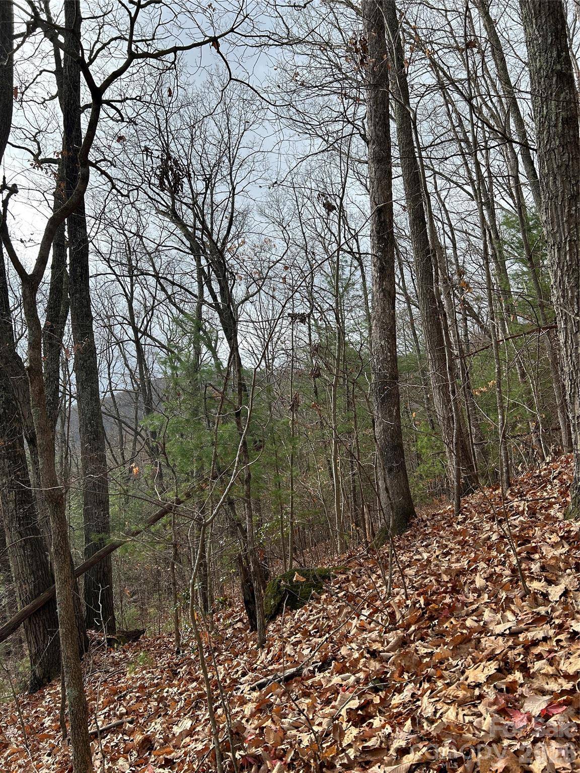 99999 Cowan Cove RD, Asheville, NC 28806
