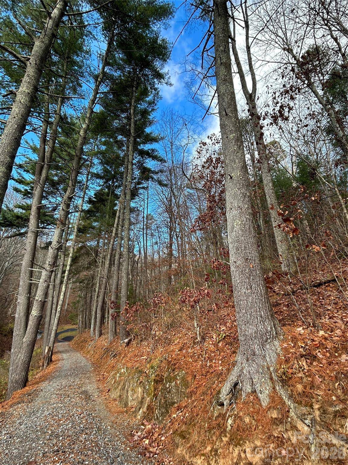 99999 Cowan Cove RD, Asheville, NC 28806