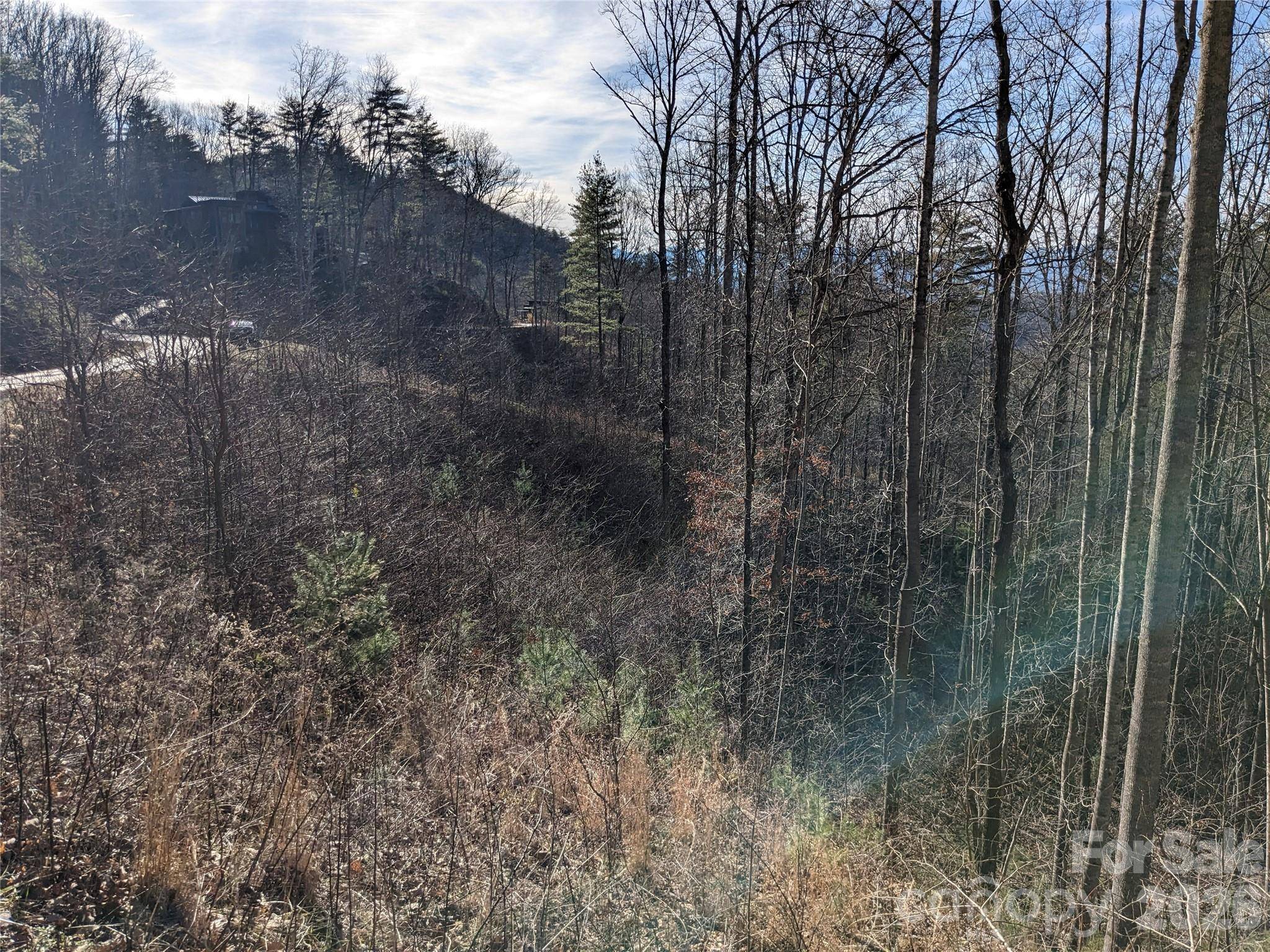 27 Bent Branch LN #10, Asheville, NC 28804
