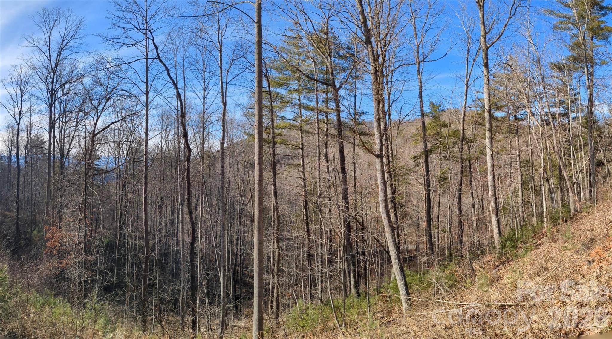 27 Bent Branch LN #10, Asheville, NC 28804