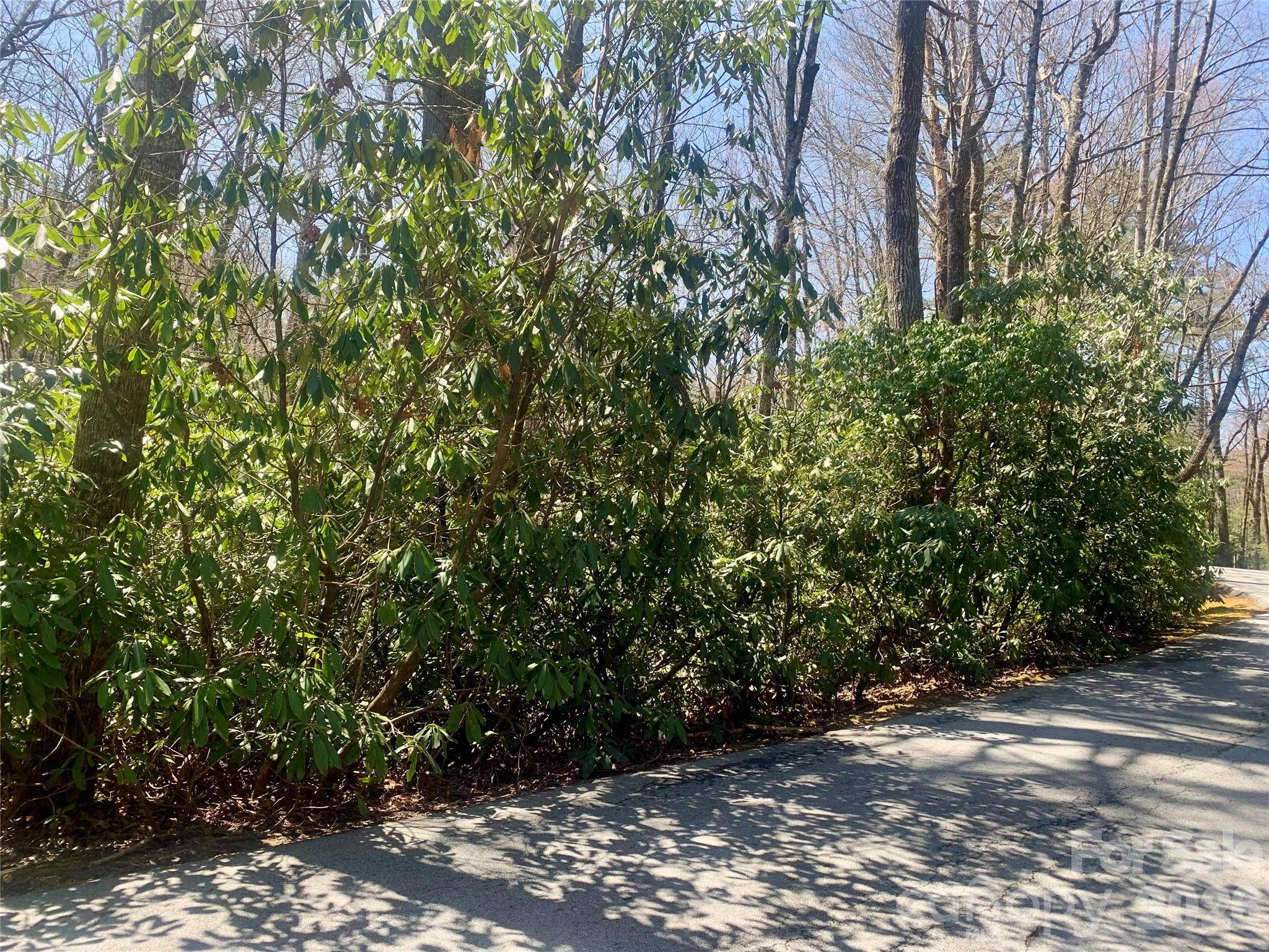 Lot 20A Indian Lake RD #20A, Lake Toxaway, NC 28747