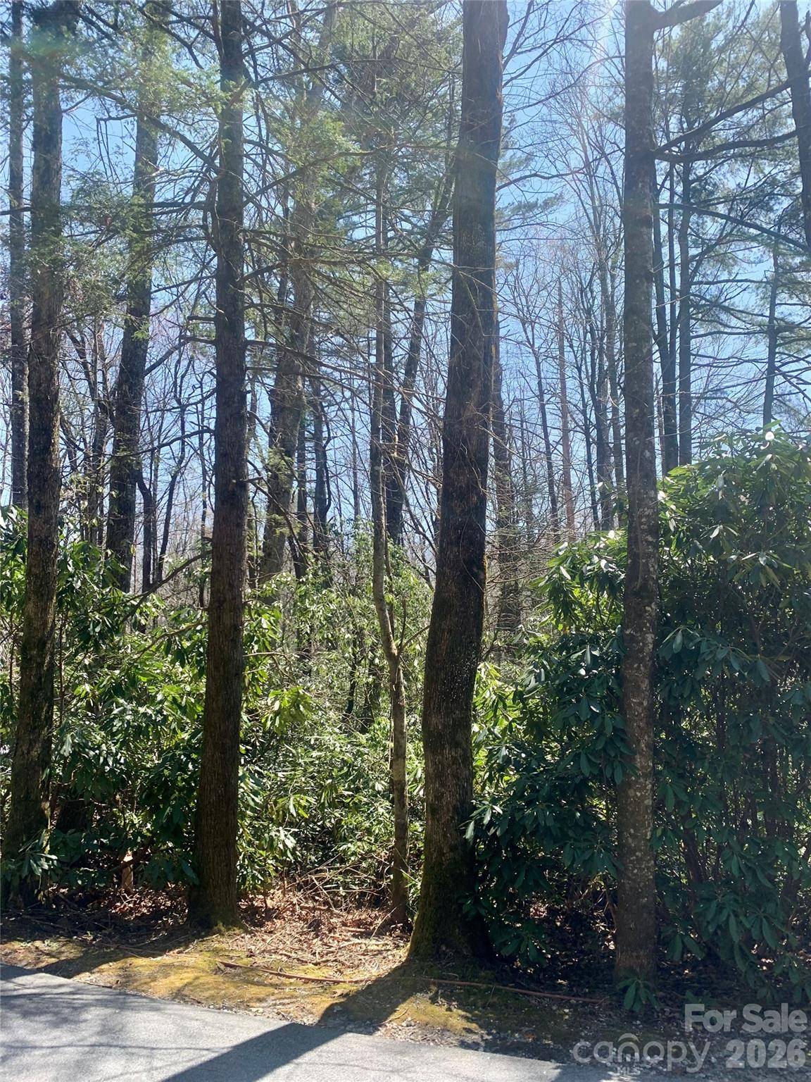 Lot 20A Indian Lake RD #20A, Lake Toxaway, NC 28747