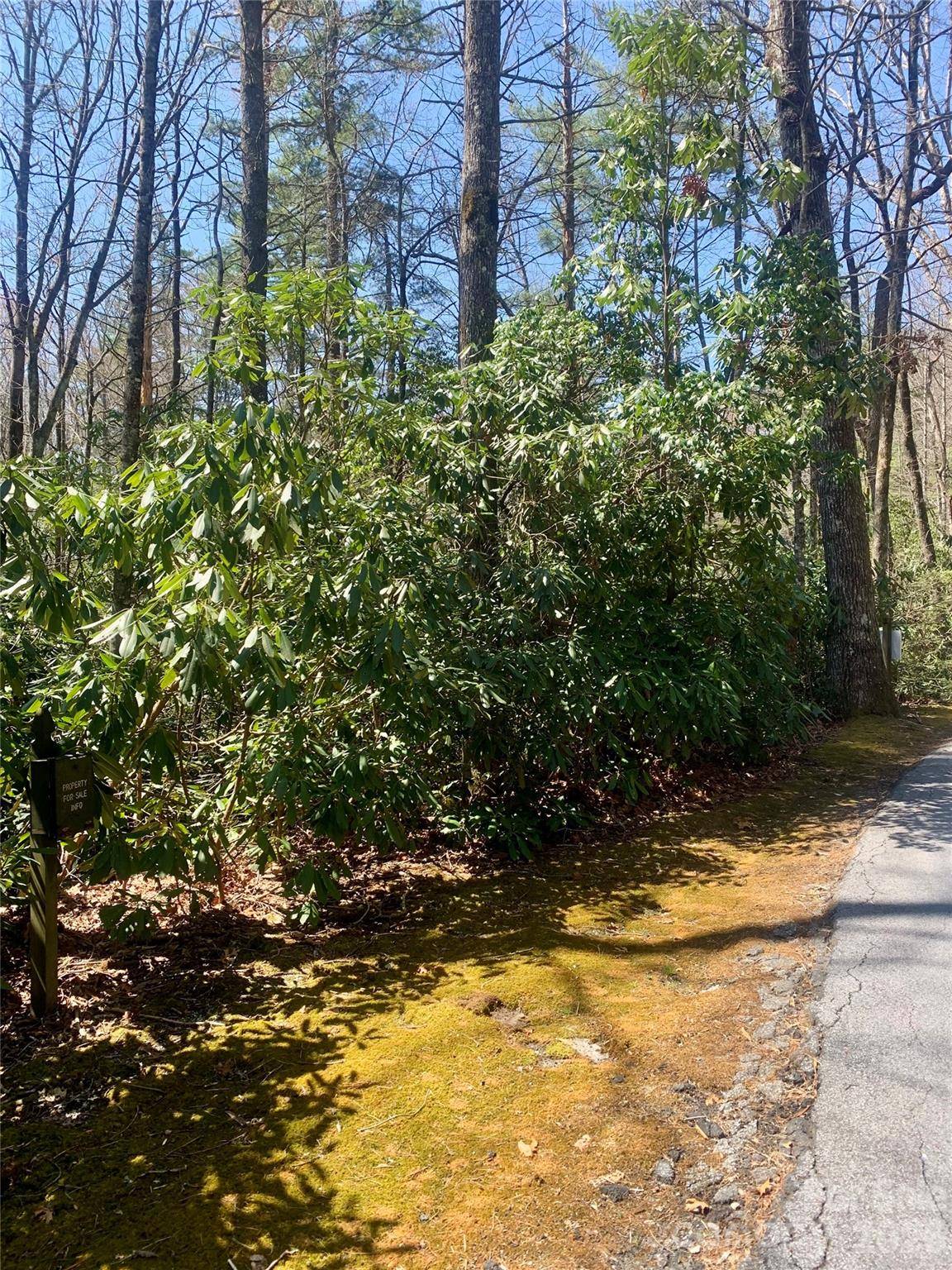 Lot 20A Indian Lake RD #20A, Lake Toxaway, NC 28747