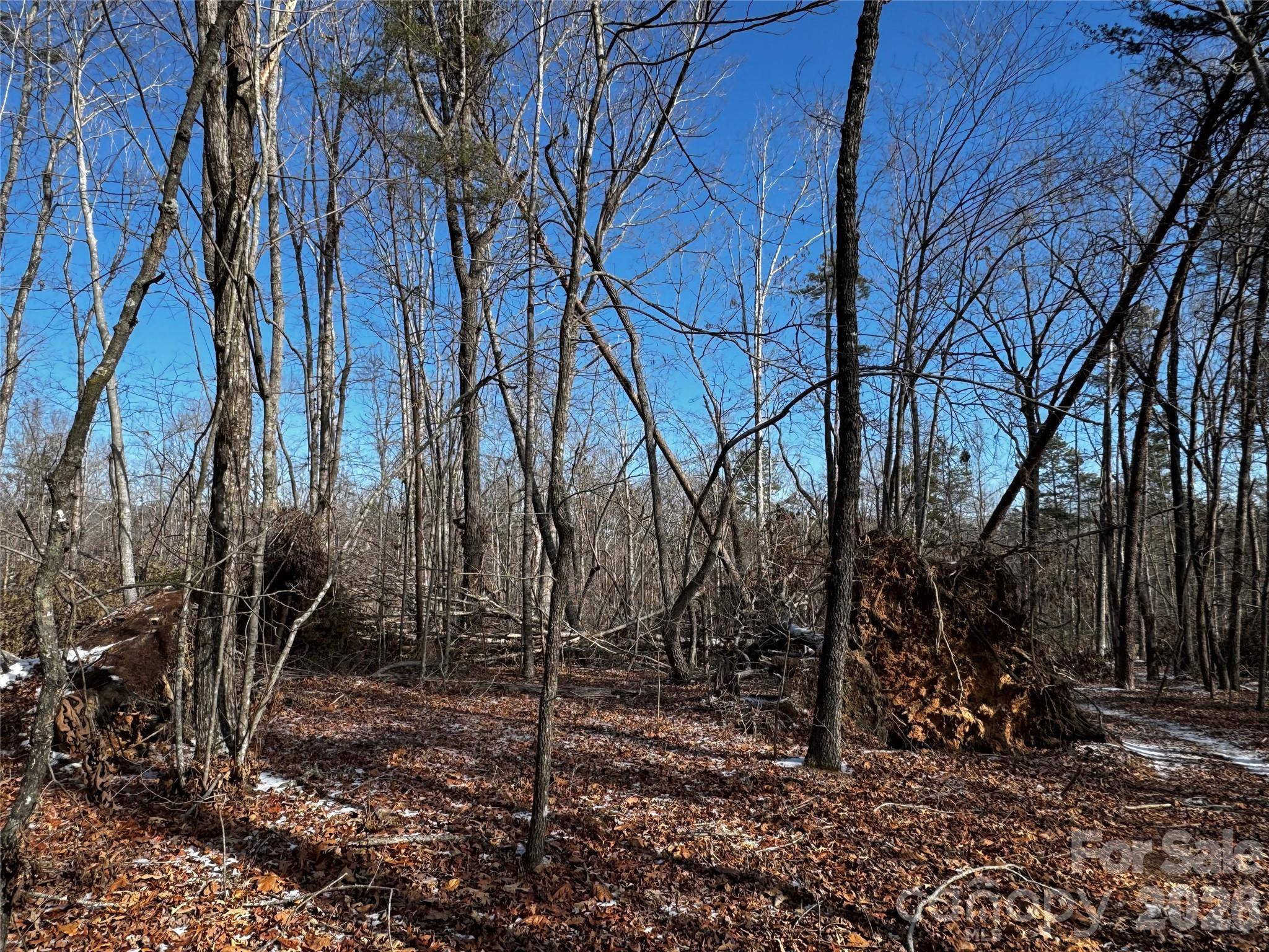 0 Painters Gap RD, Union Mills, NC 28167