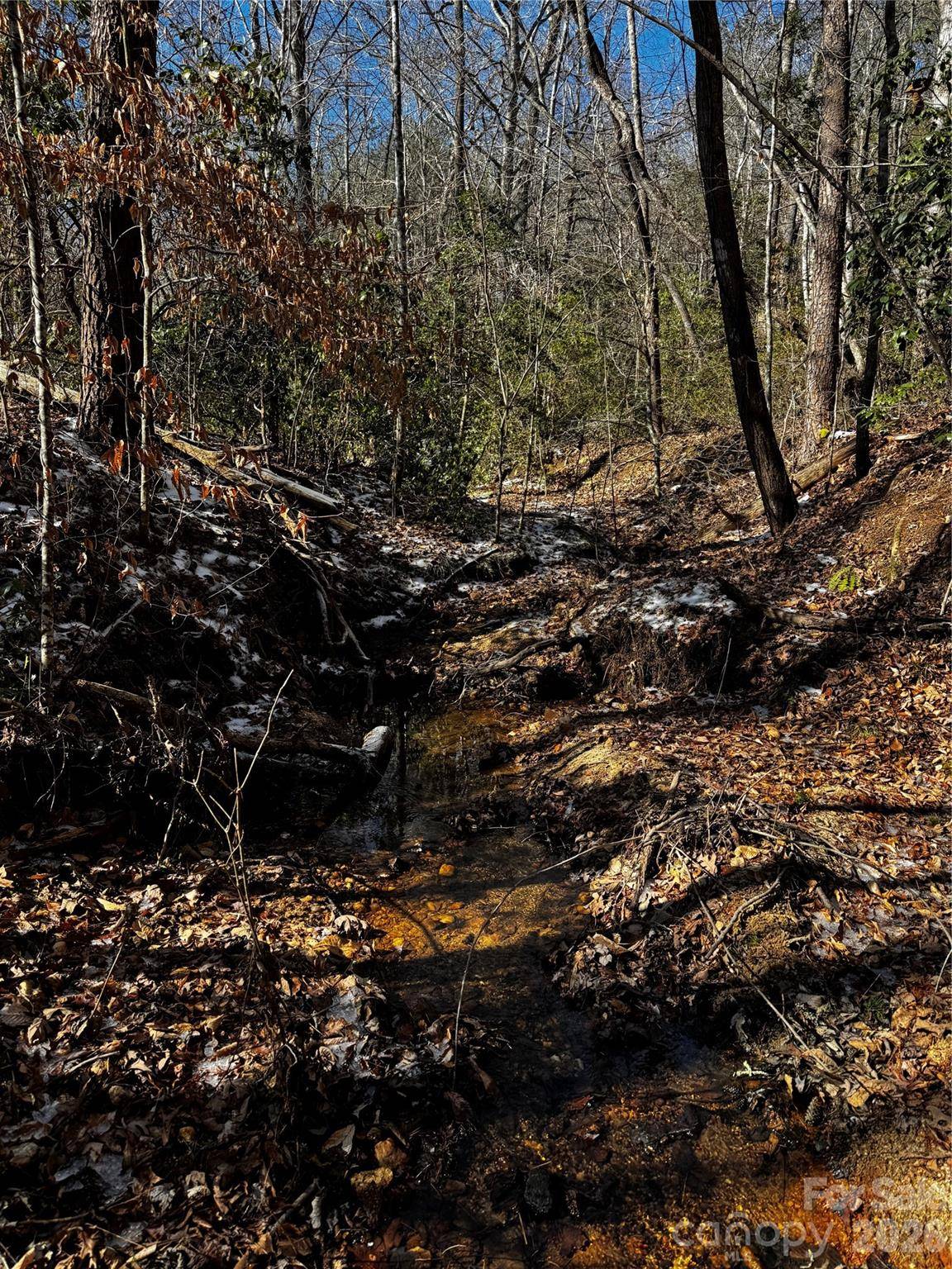 0 Painters Gap RD, Union Mills, NC 28167