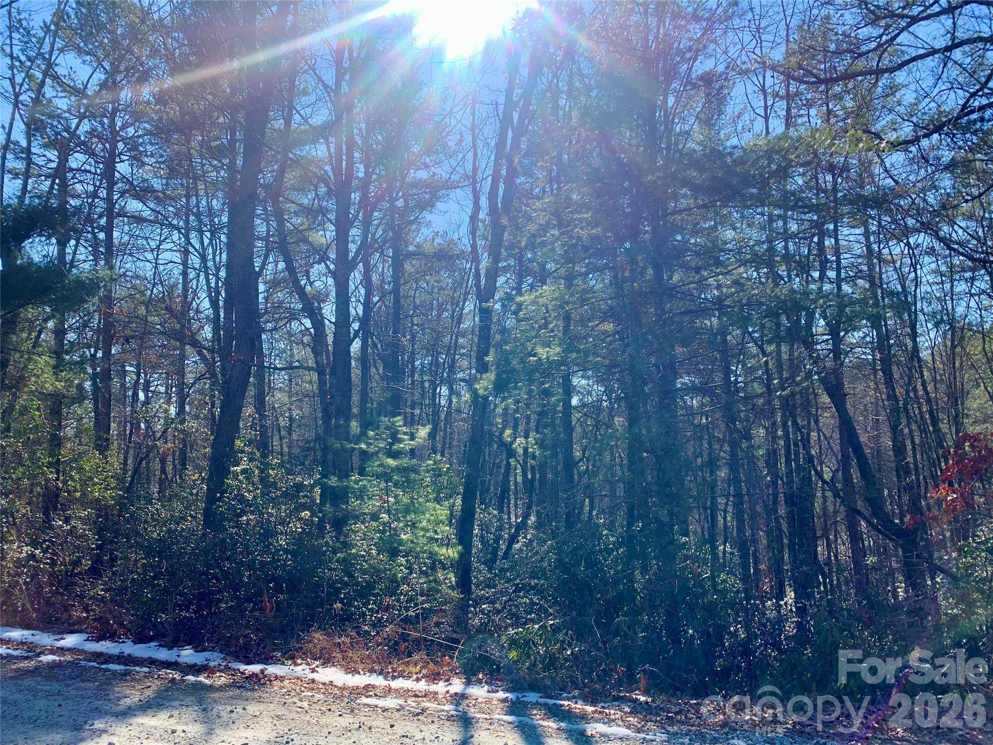 Lot 18 Oak Ridge DR #18, Brevard, NC 28712