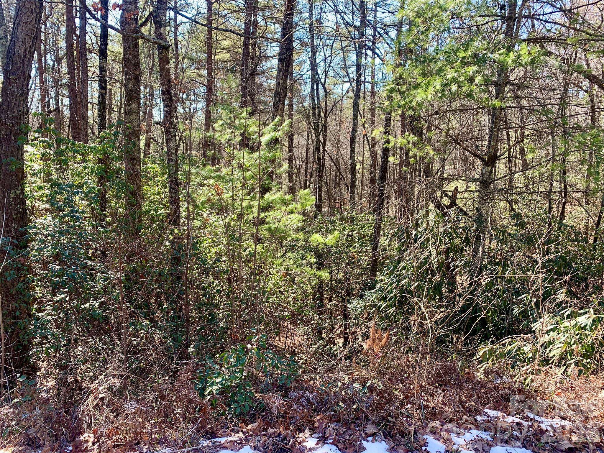 Lot 18 Oak Ridge DR #18, Brevard, NC 28712