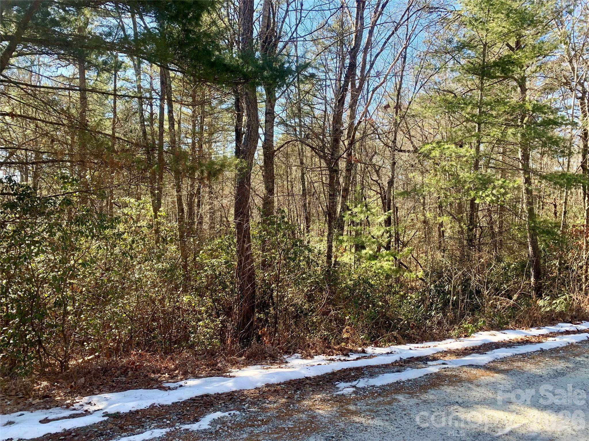 Lot 18 Oak Ridge DR #18, Brevard, NC 28712
